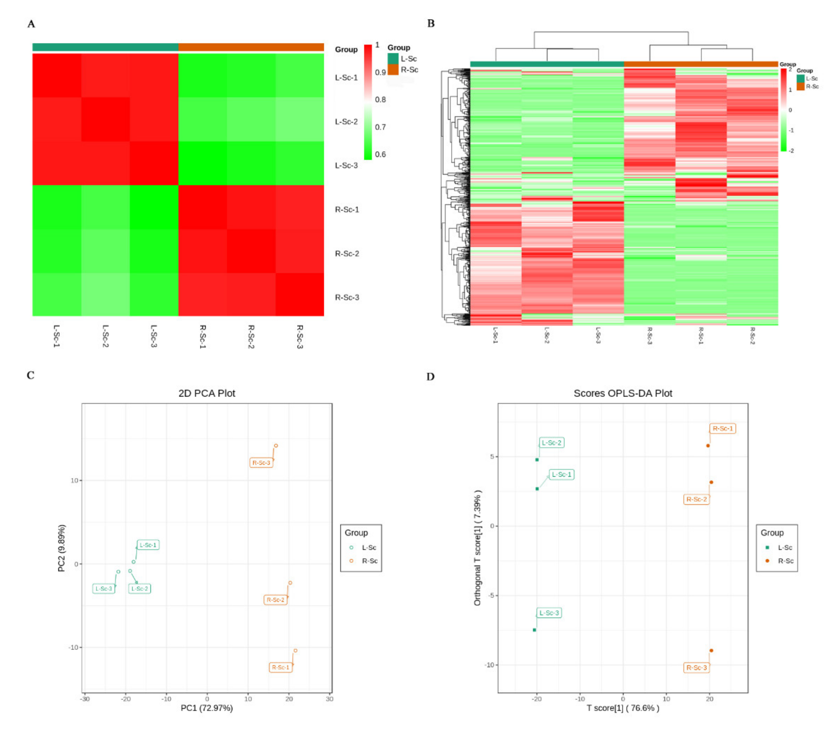 Molecules 26 01126 g003