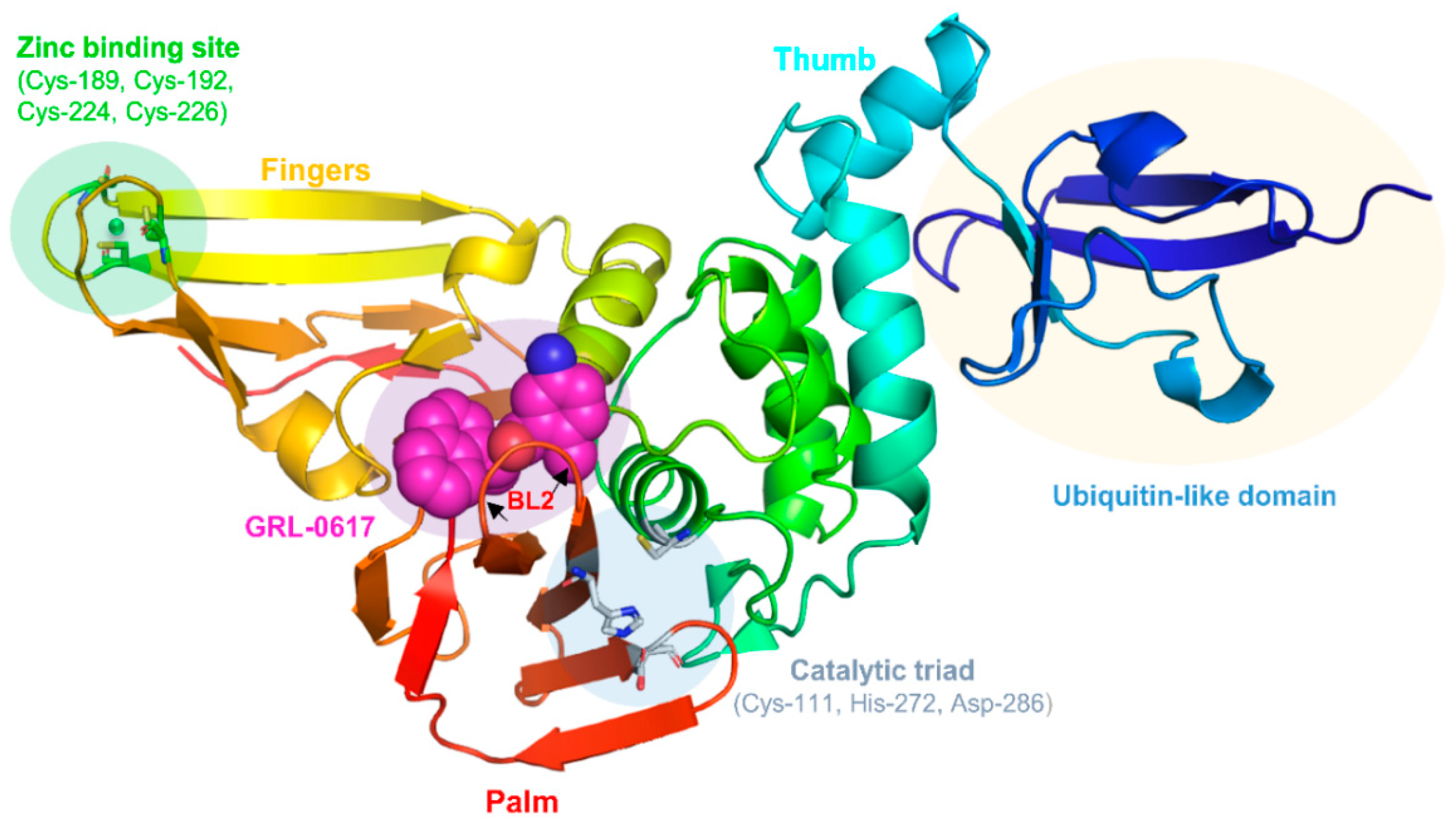 Molecules 26 01134 g001 Molecules 26 01134 g001