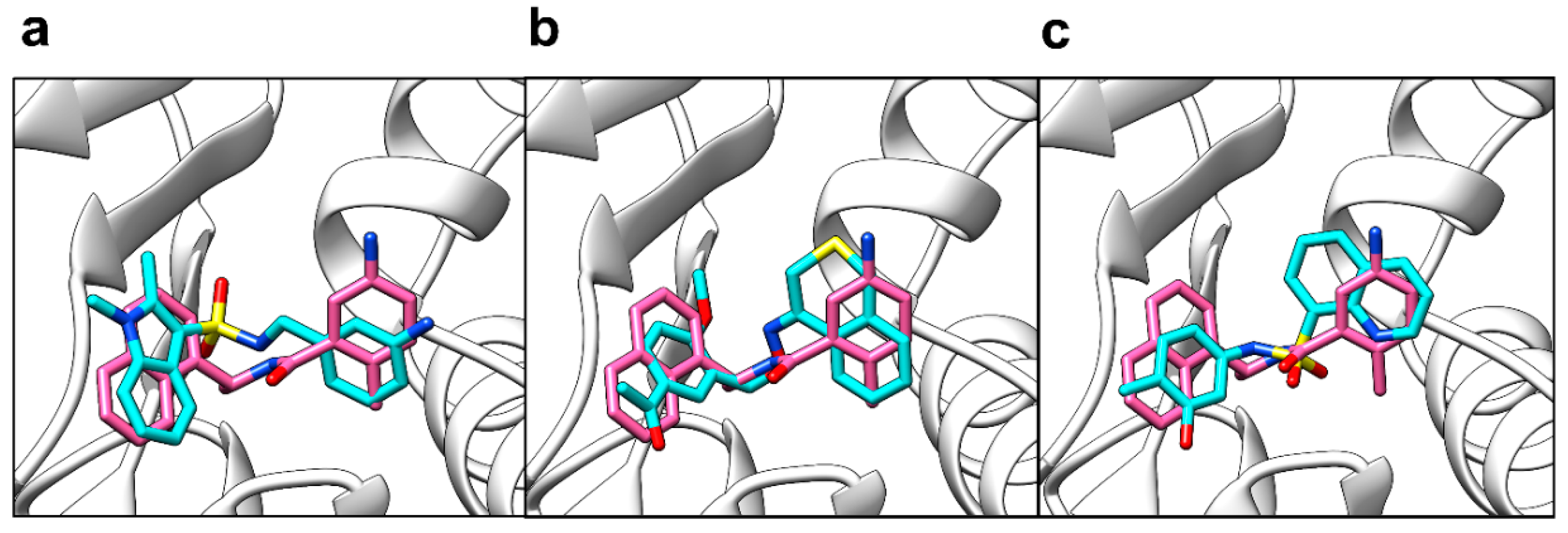 Molecules 26 01134 g005 Molecules 26 01134 g005