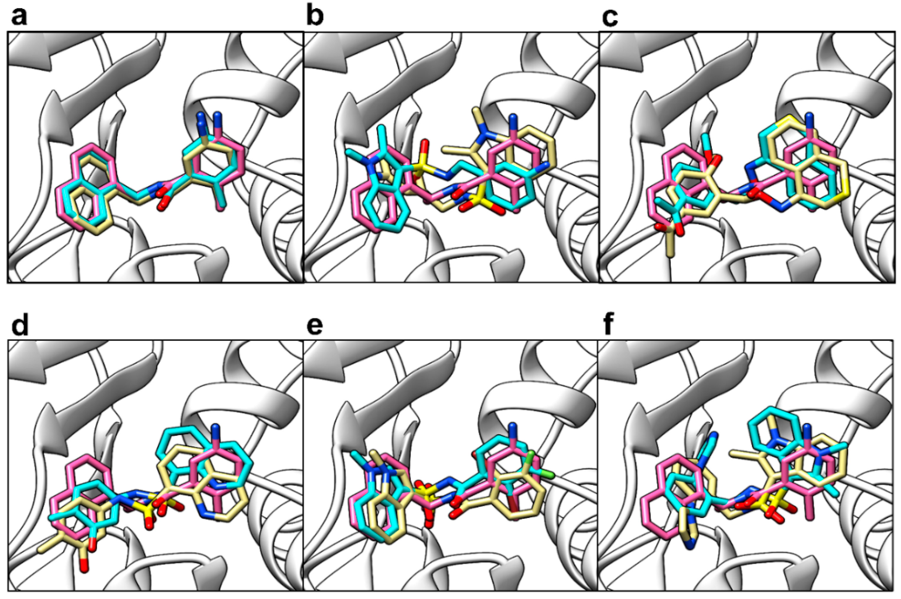 Molecules 26 01134 g011 Molecules 26 01134 g011
