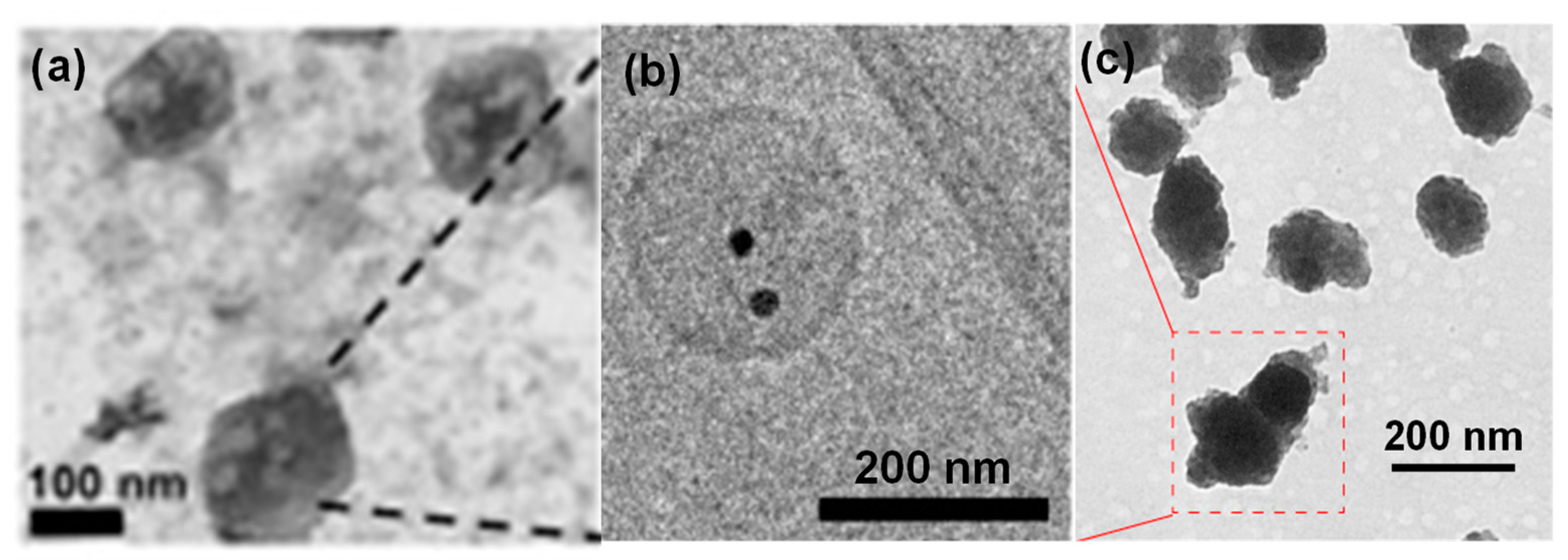 Molecules 26 01135 g003 Molecules 26 01135 g003