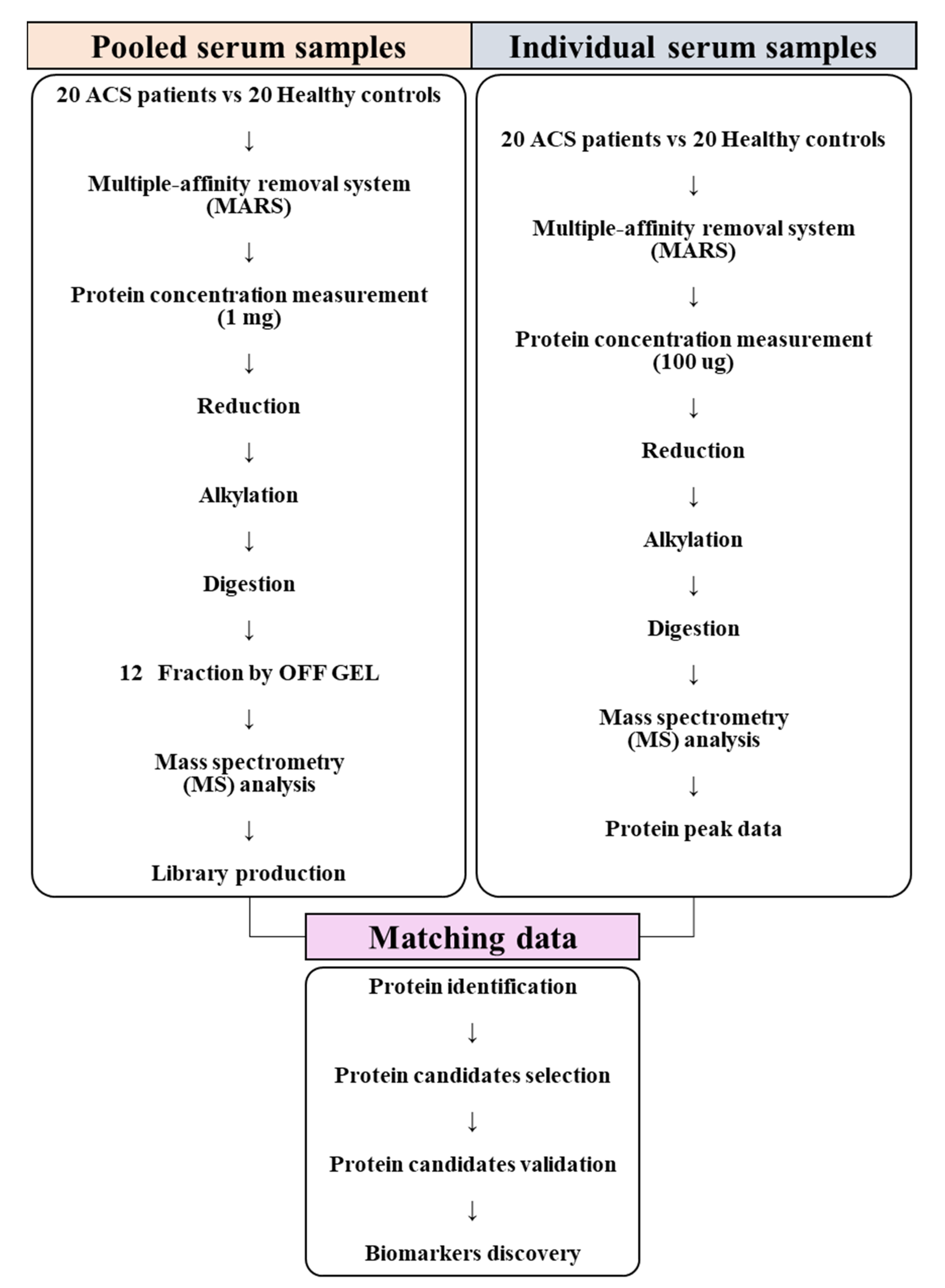 Molecules 26 01136 g001