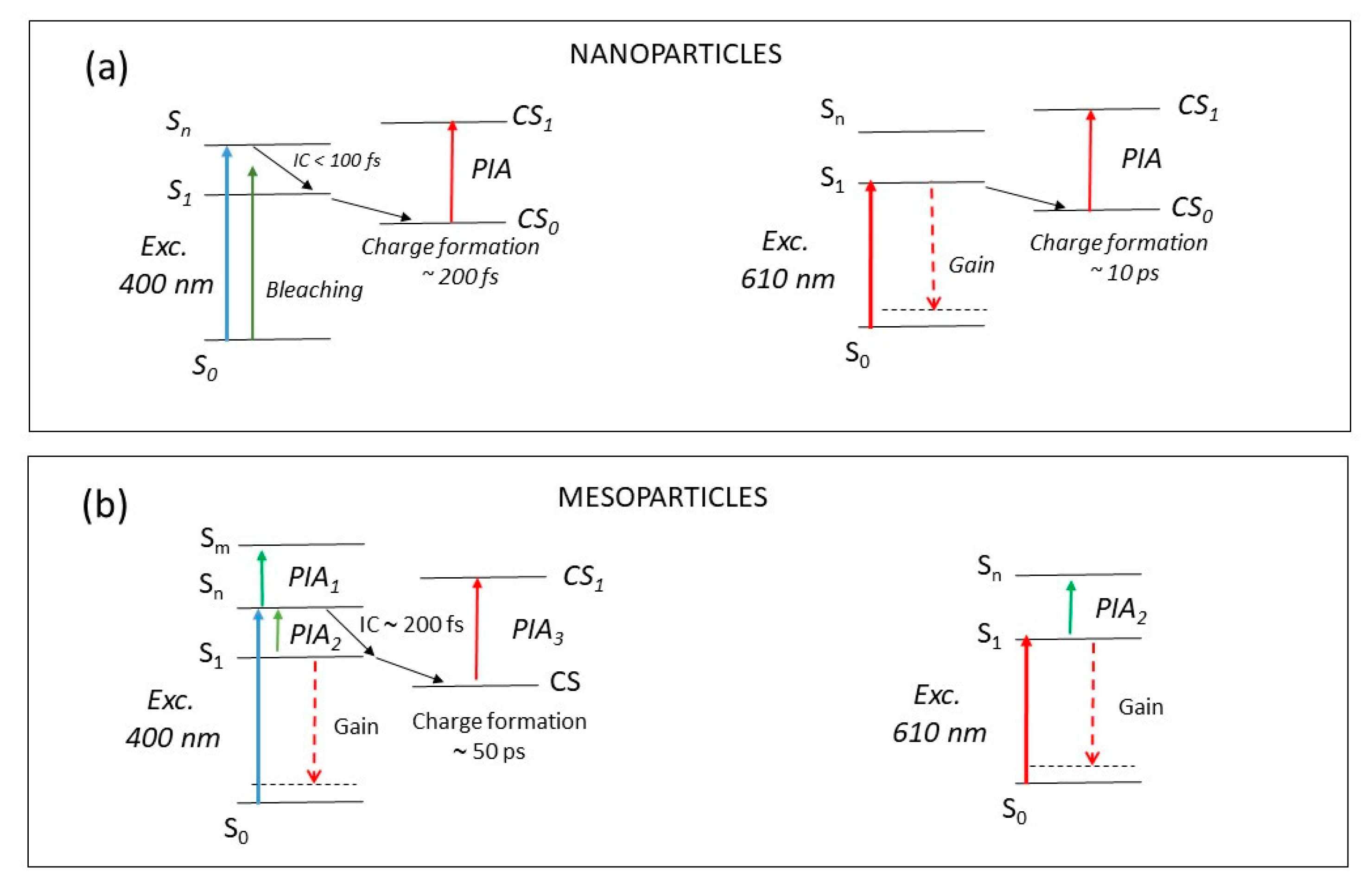 Molecules 26 01138 g005