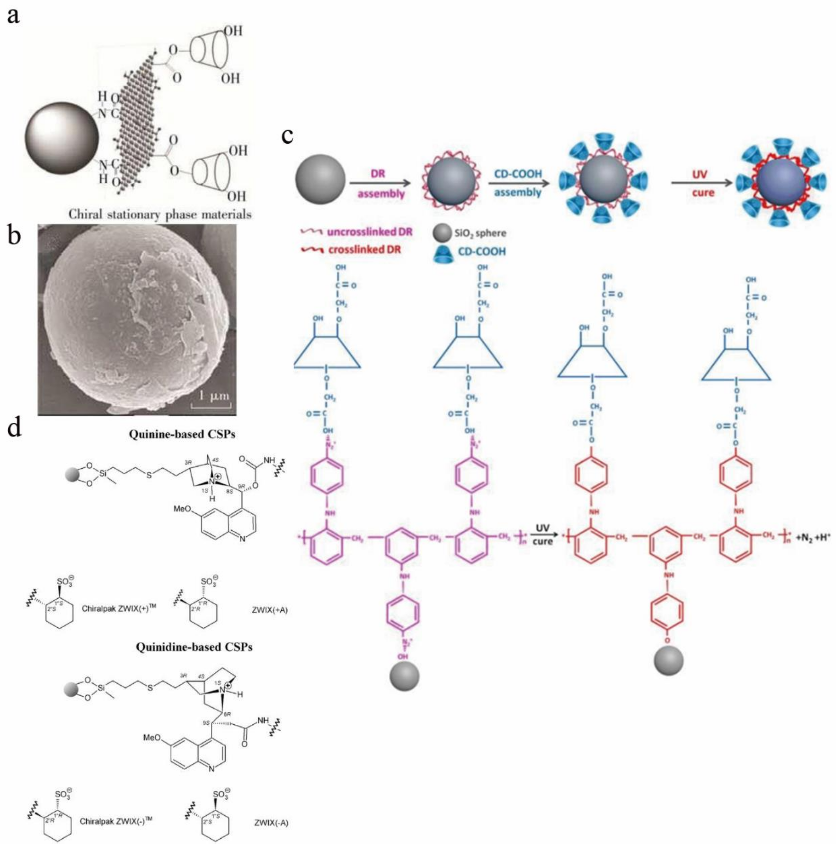 Molecules 26 01145 g003 Molecules 26 01145 g003