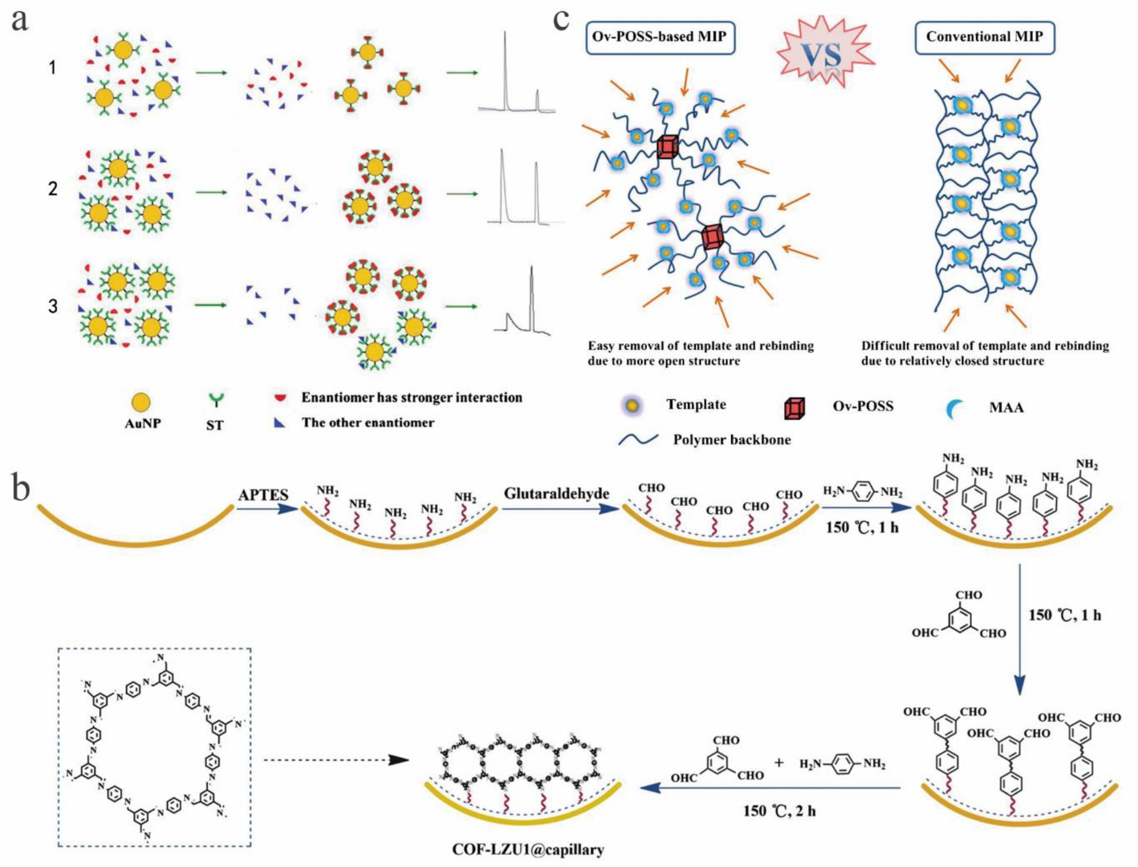 Molecules 26 01145 g005 Molecules 26 01145 g005