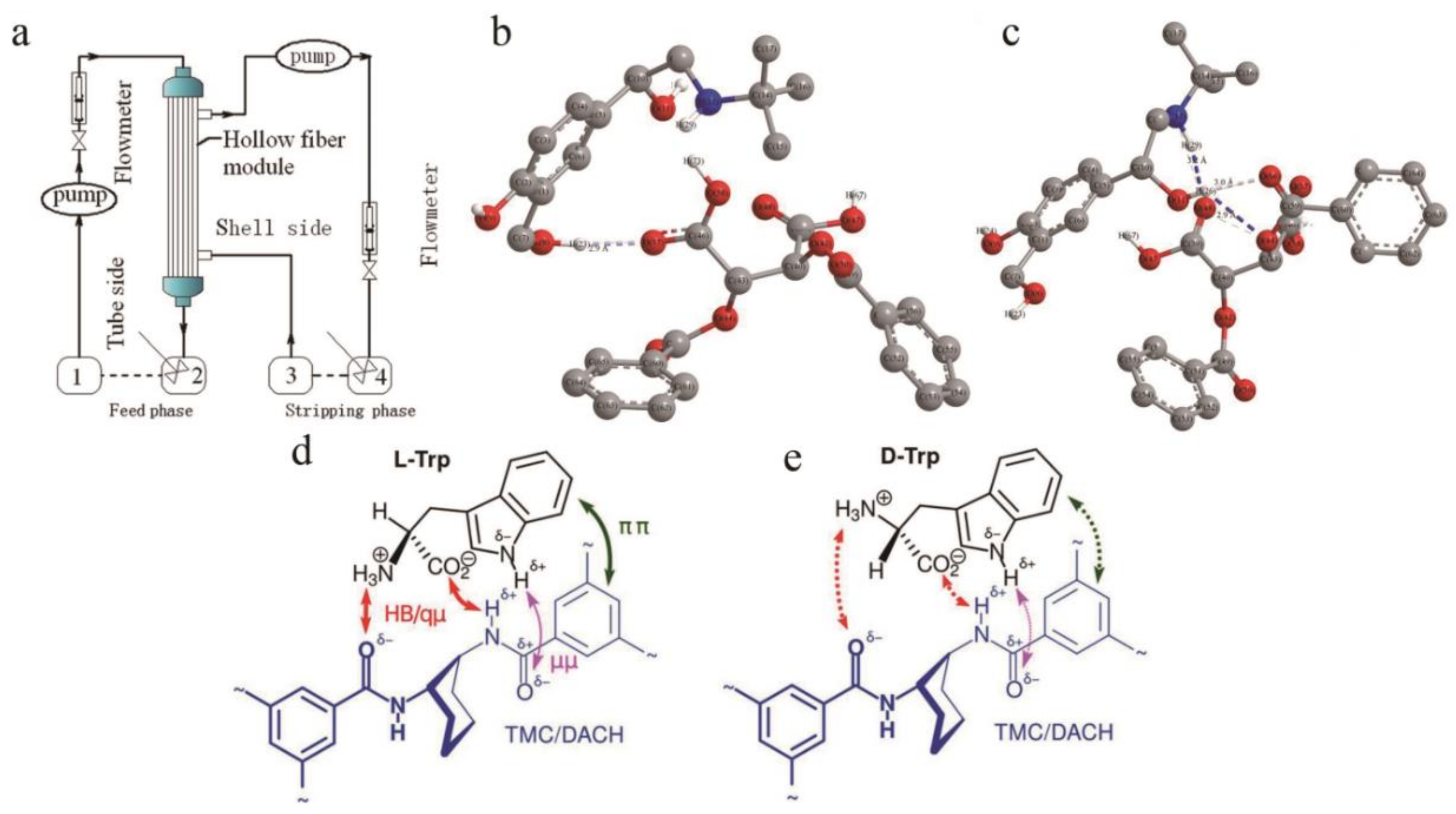 Molecules 26 01145 g009 Molecules 26 01145 g009