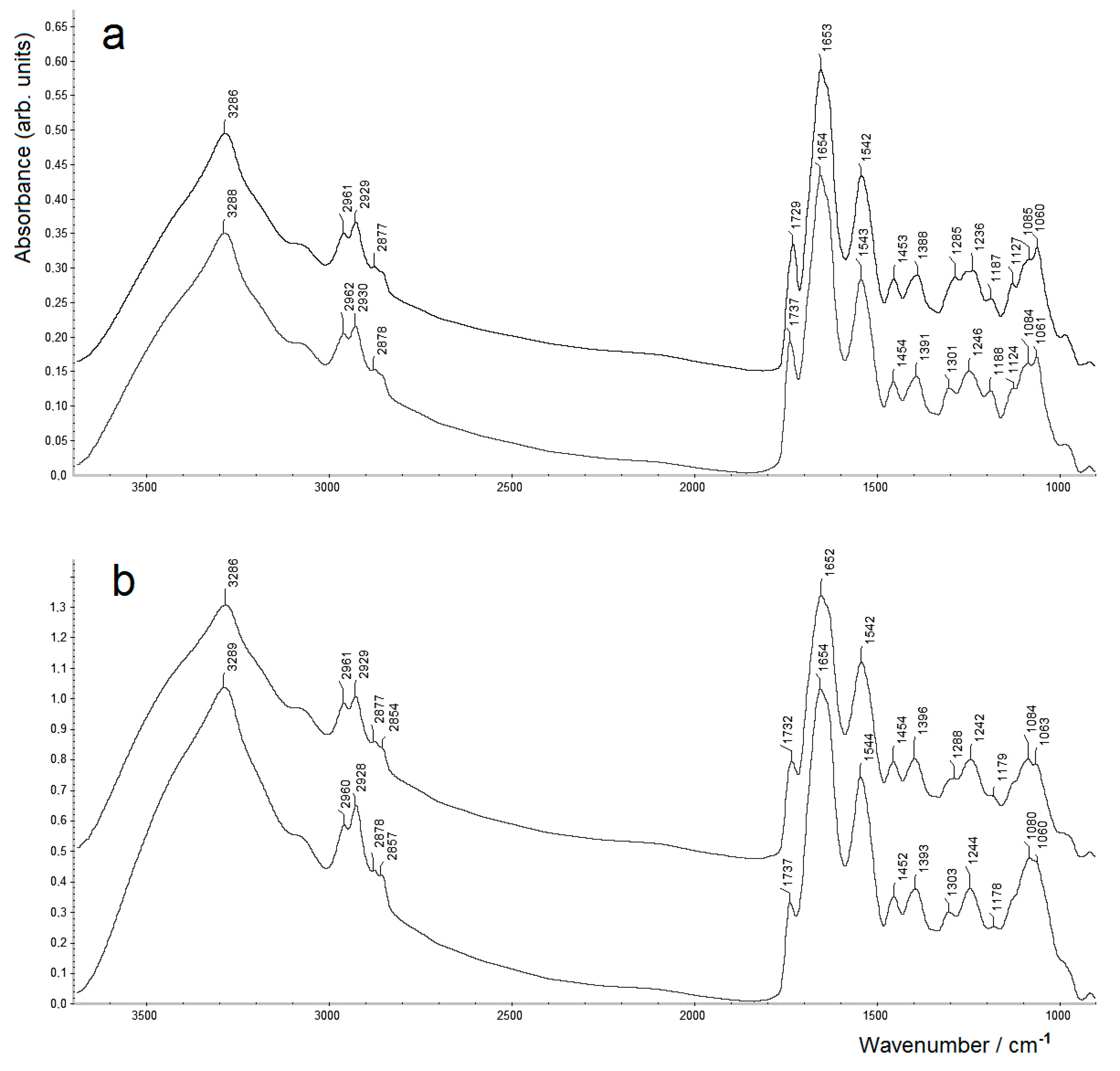 Molecules 26 01146 g001