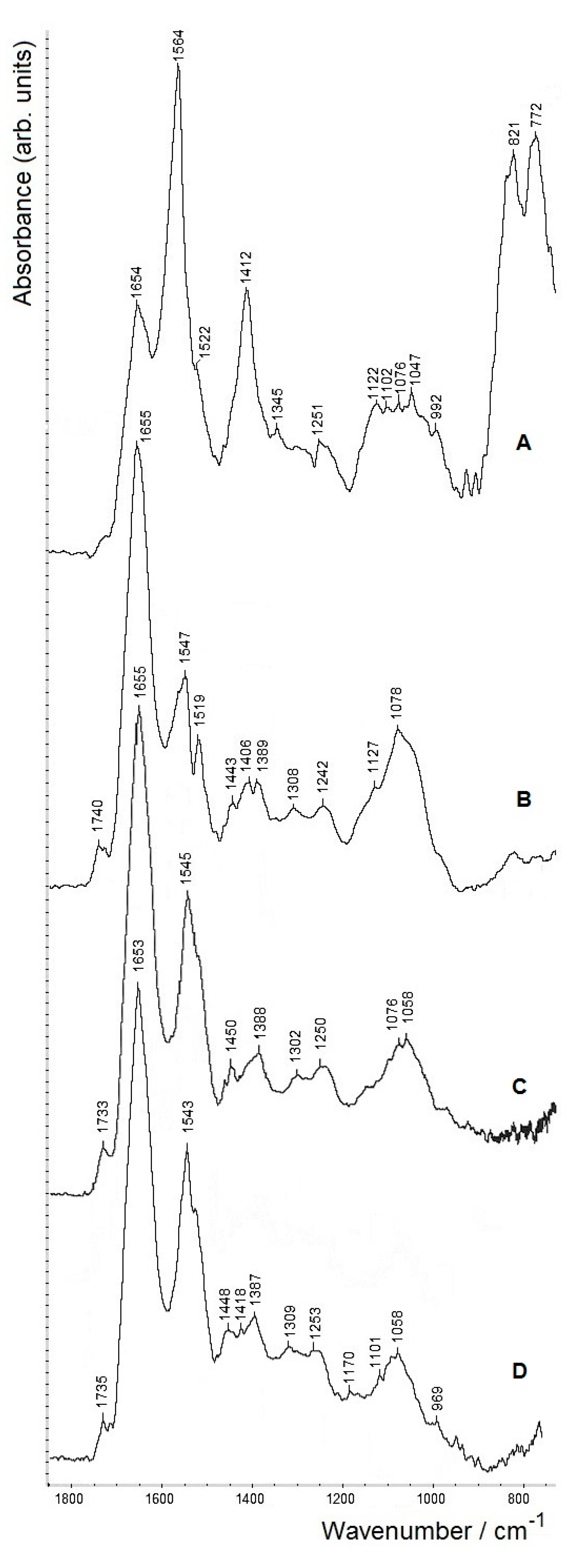Molecules 26 01146 g005
