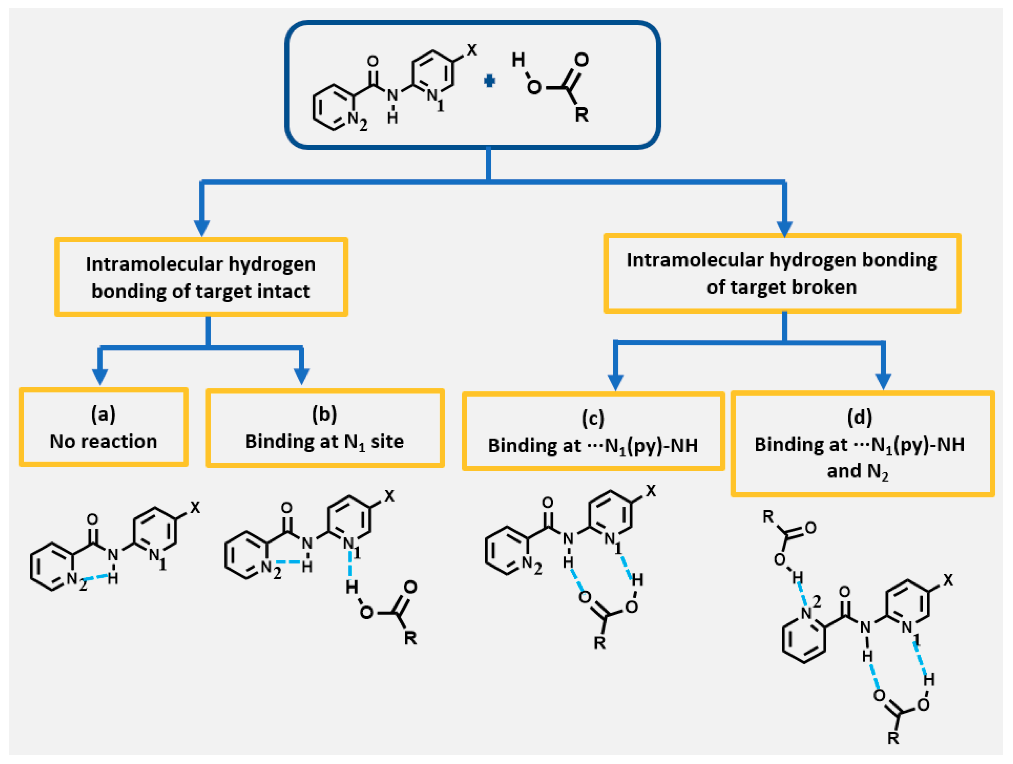 Molecules 26 01147 g002 Molecules 26 01147 g002