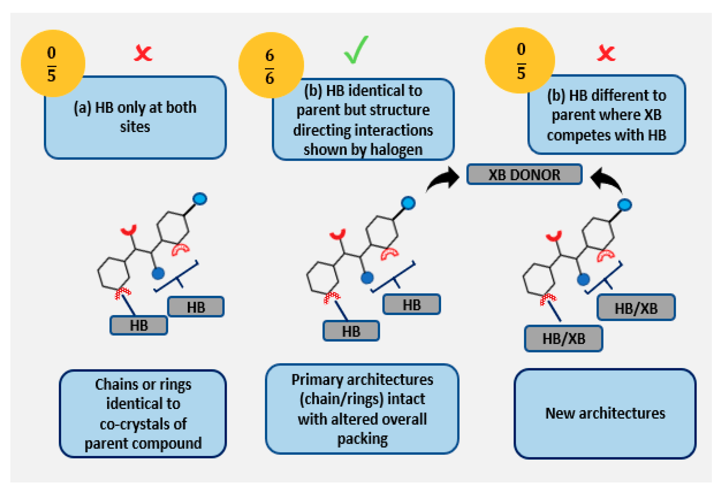 Molecules 26 01147 g009 Molecules 26 01147 g009