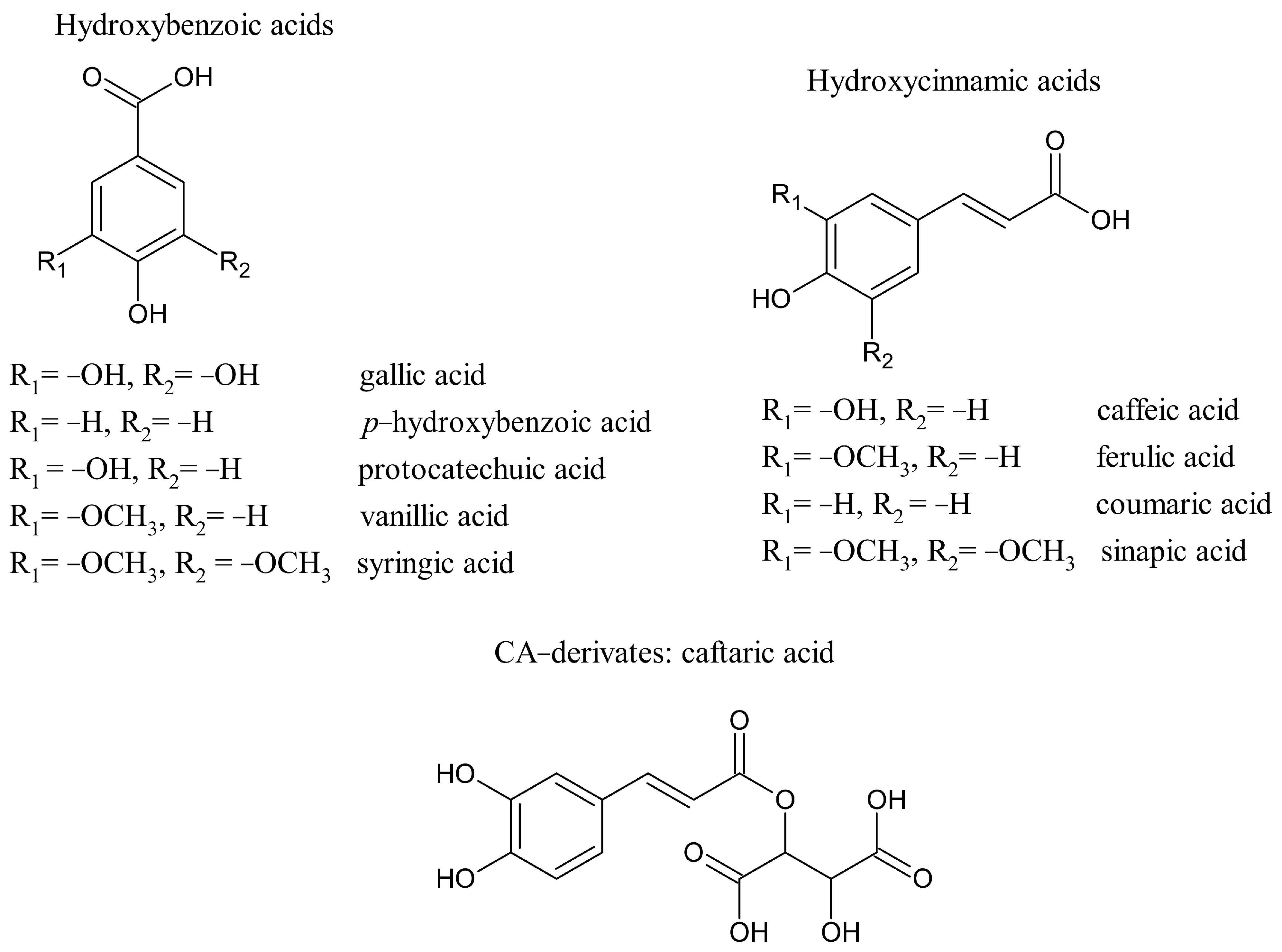 Molecules 26 01148 g001