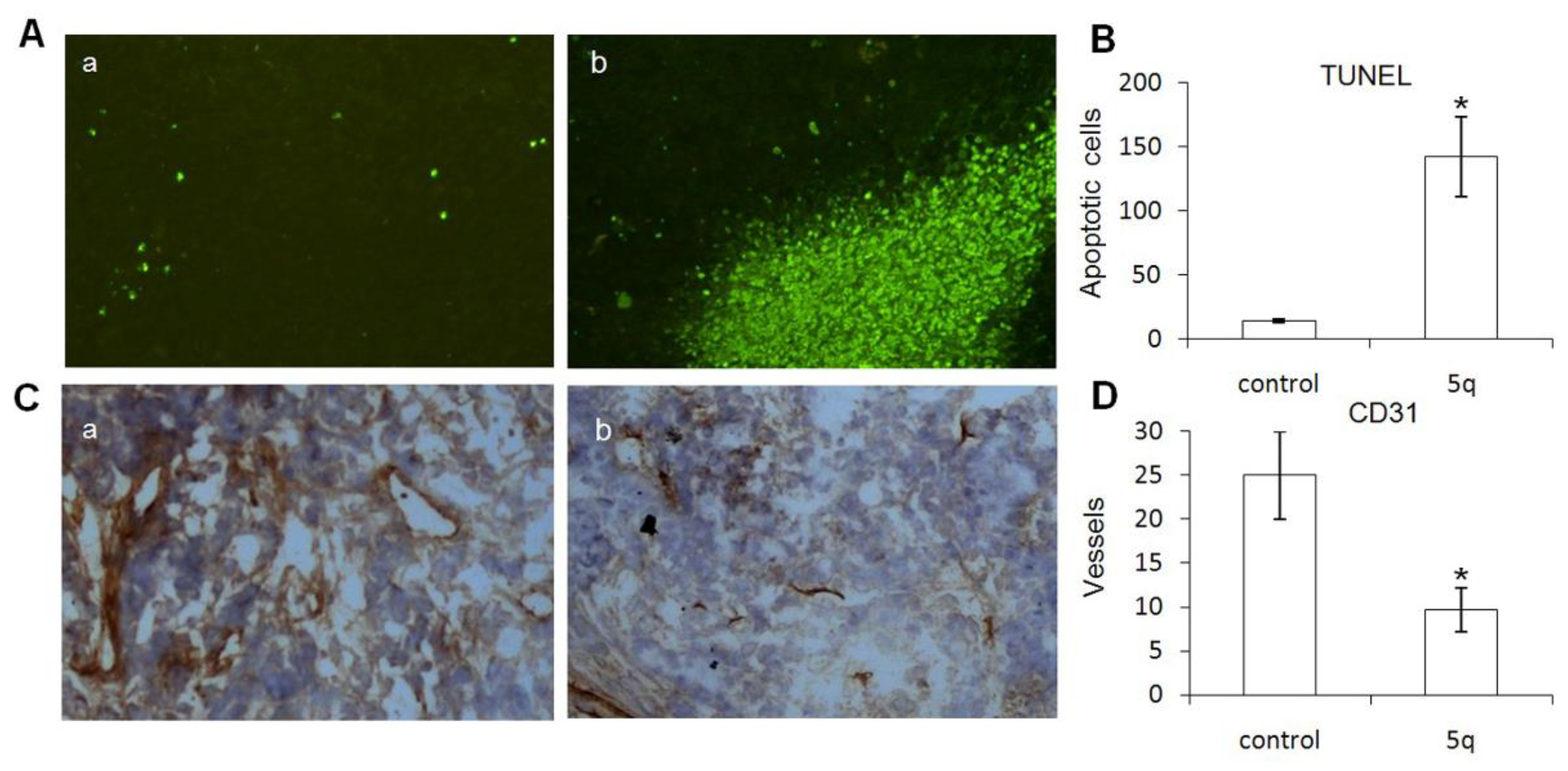 Molecules 26 01150 g002