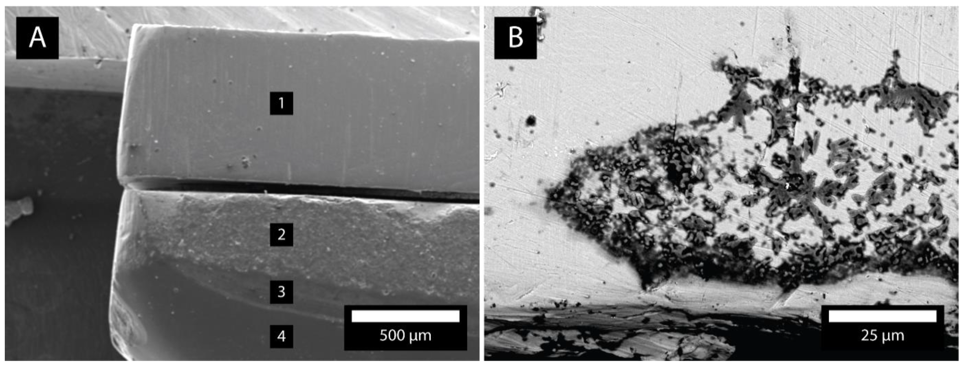 Molecules 26 01152 g008 Molecules 26 01152 g008
