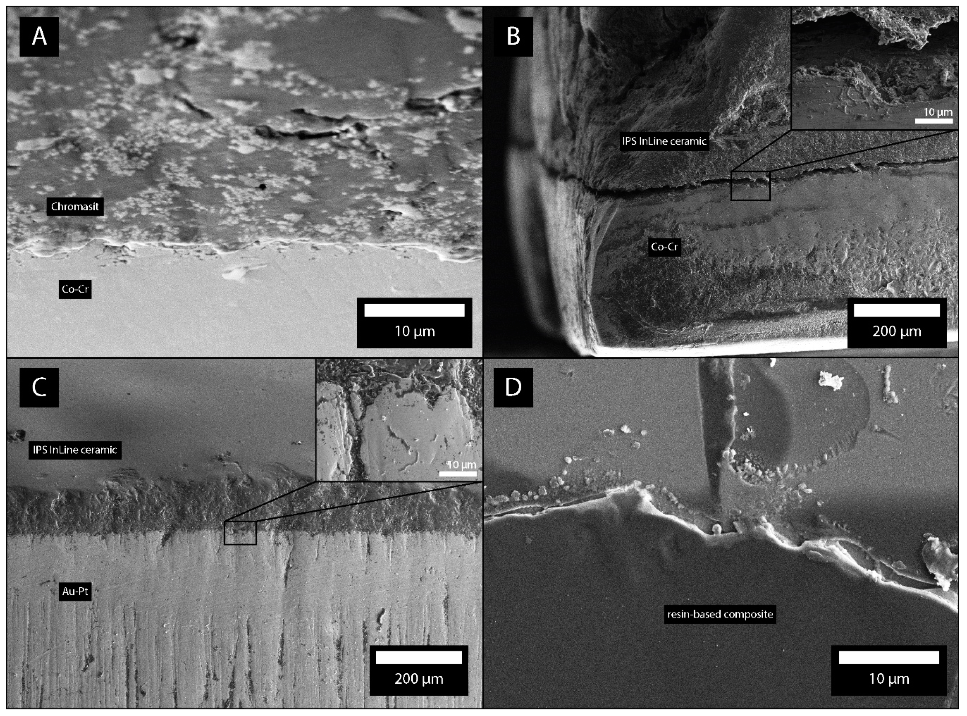 Molecules 26 01152 g009 Molecules 26 01152 g009