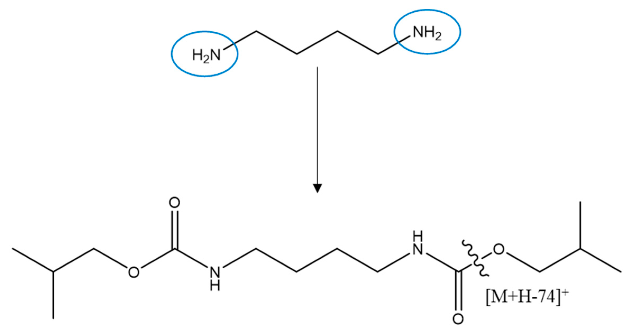 Molecules 26 01153 g003