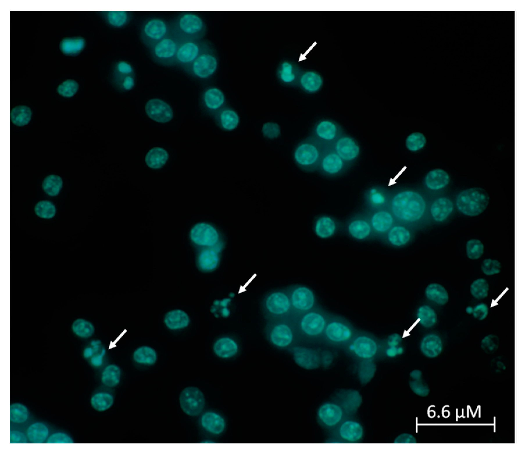 Molecules 26 01188 g010