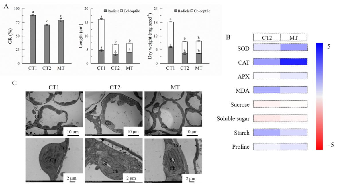 Molecules 26 01192 g001 Molecules 26 01192 g001
