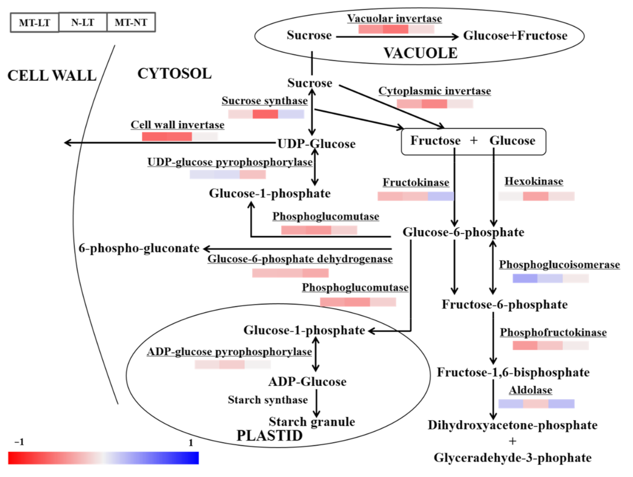Molecules 26 01192 g004 Molecules 26 01192 g004