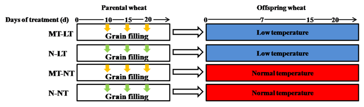 Molecules 26 01192 g005 Molecules 26 01192 g005