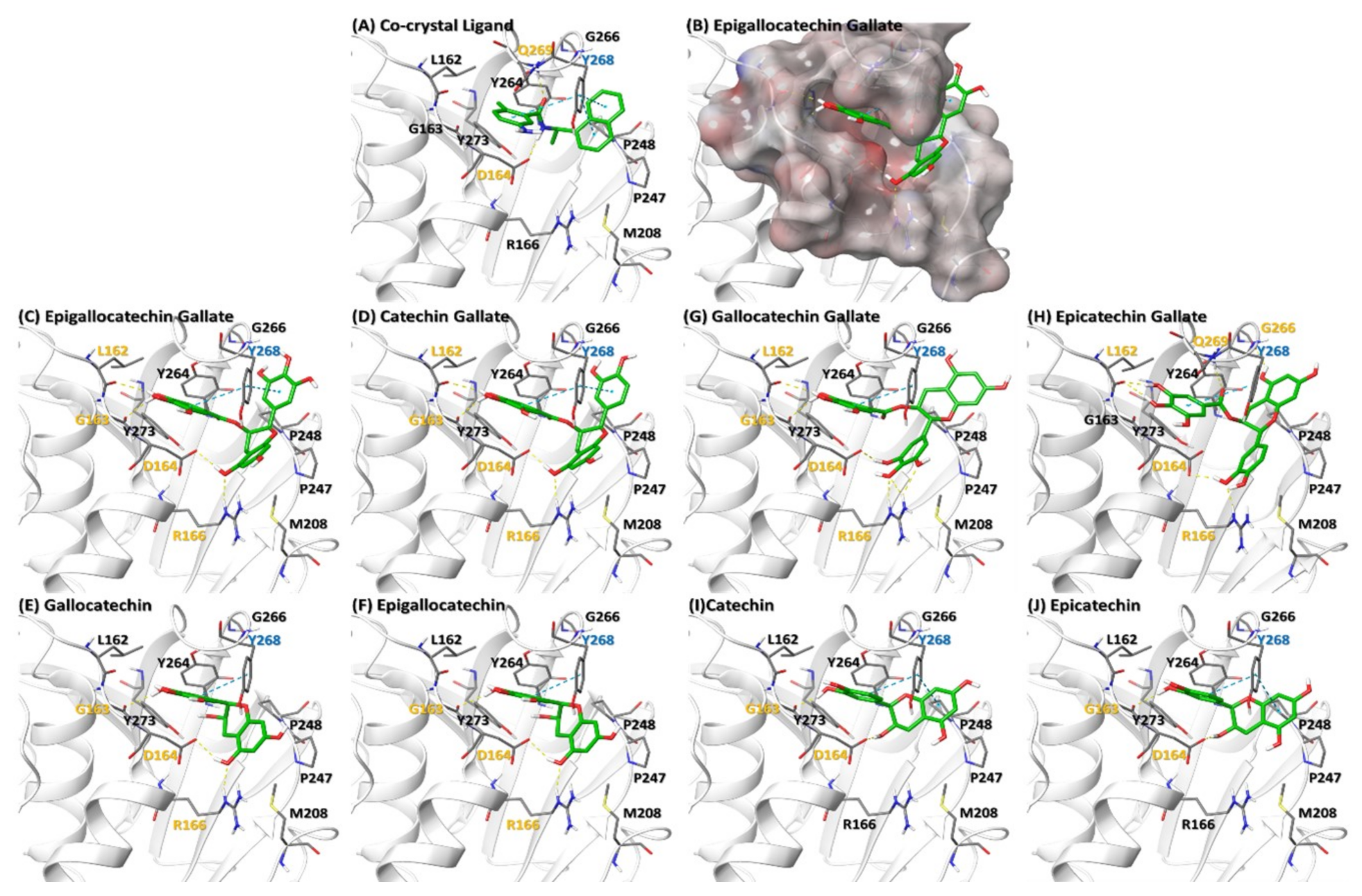 Molecules 26 01200 g005