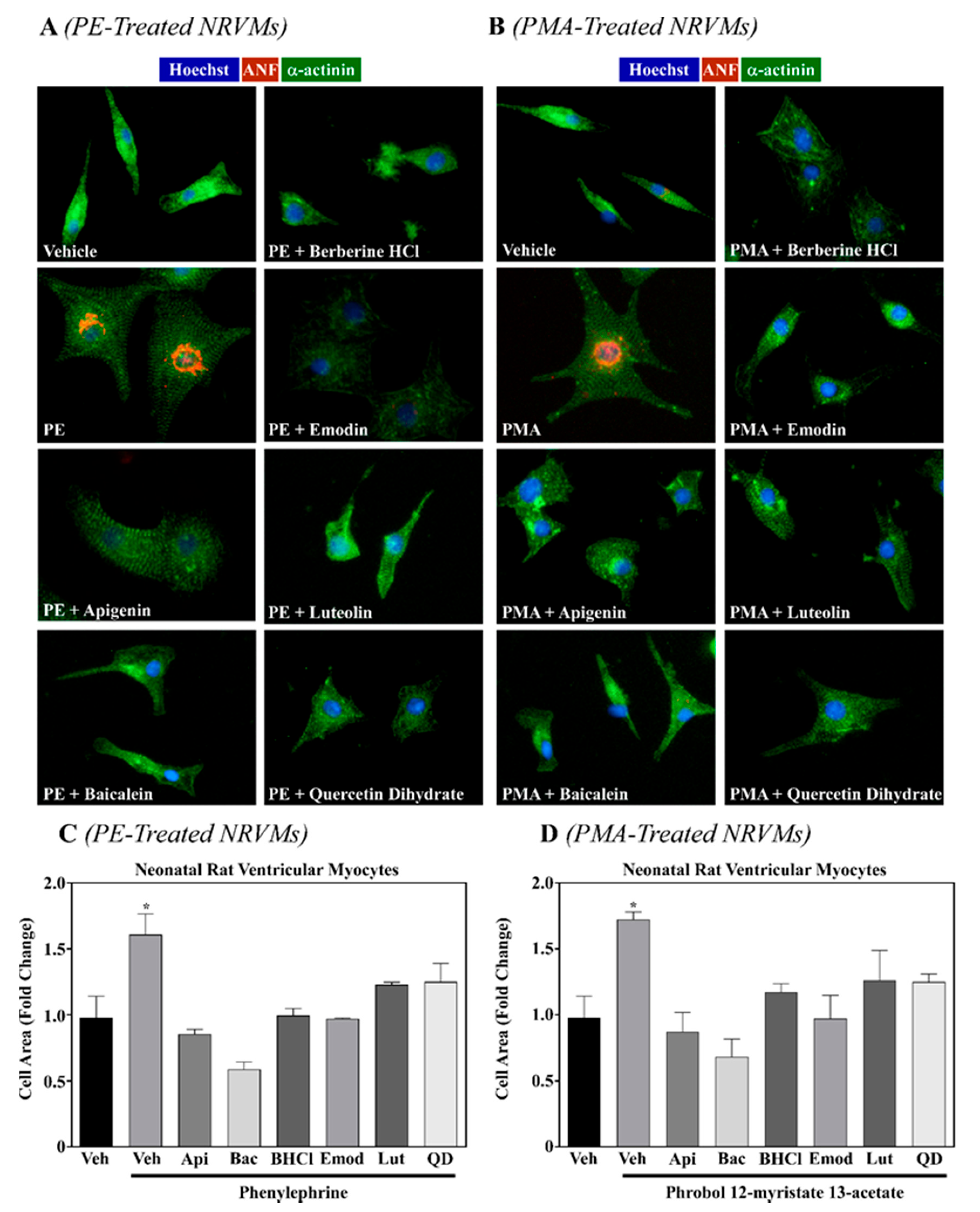 Molecules 26 01210 g001 Molecules 26 01210 g001