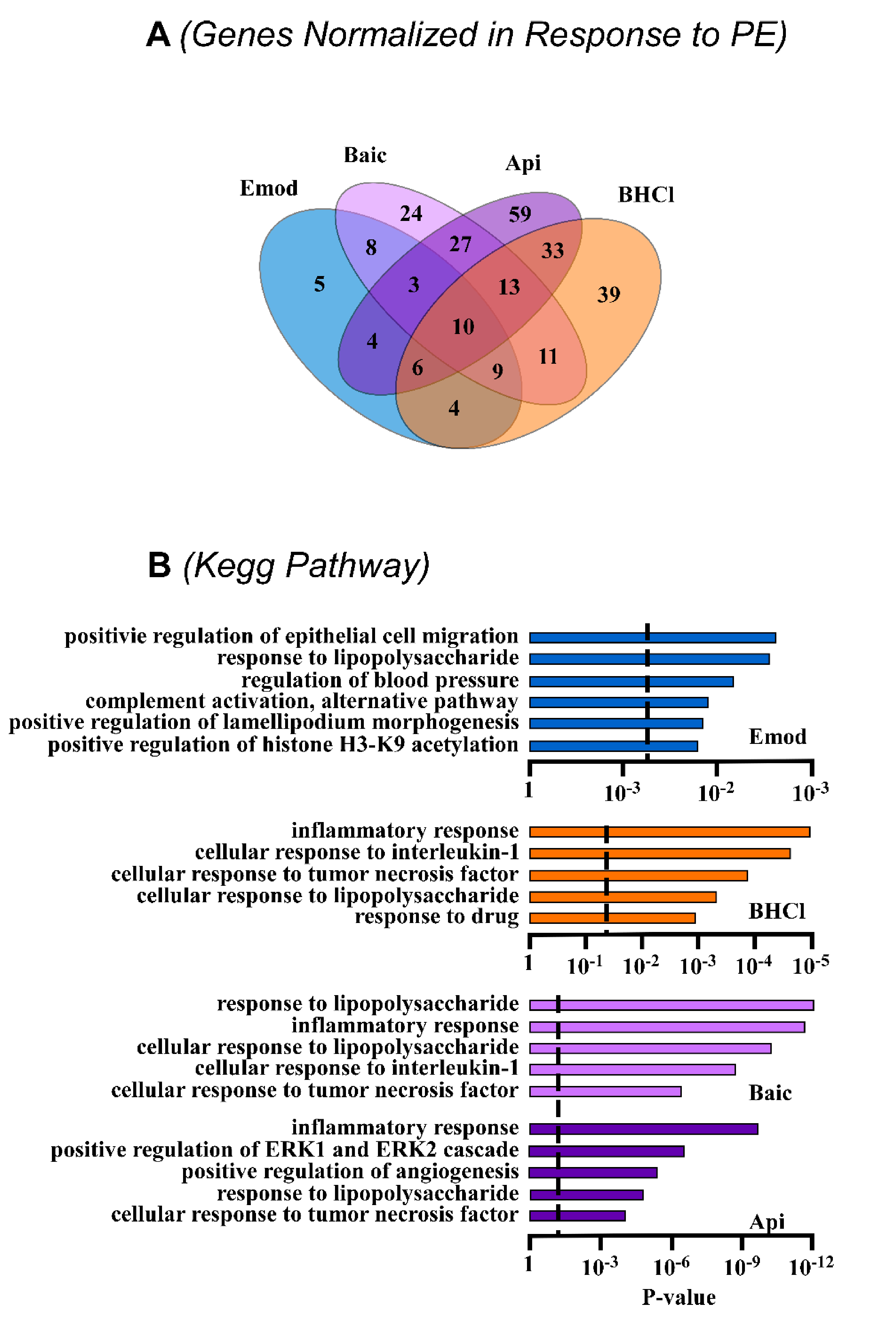 Molecules 26 01210 g004 Molecules 26 01210 g004