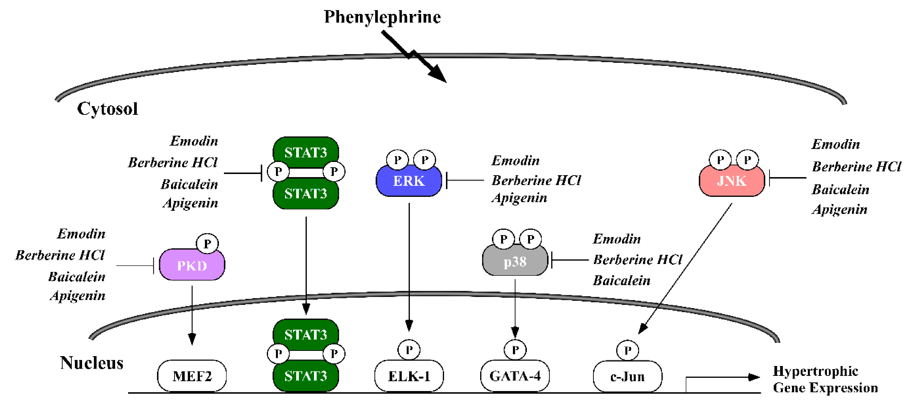 Molecules 26 01210 g007 Molecules 26 01210 g007