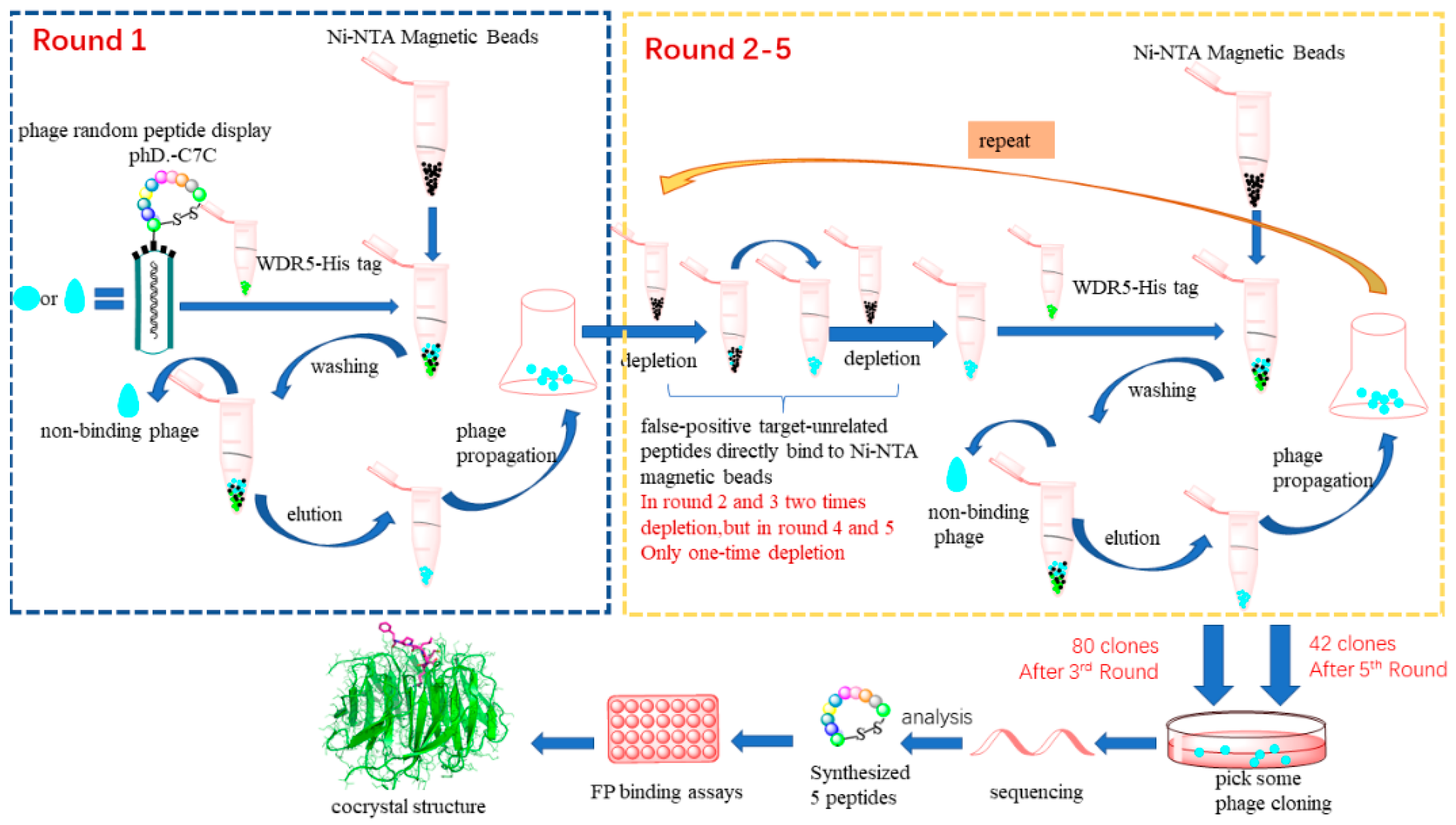 Molecules 26 01225 g004 Molecules 26 01225 g004