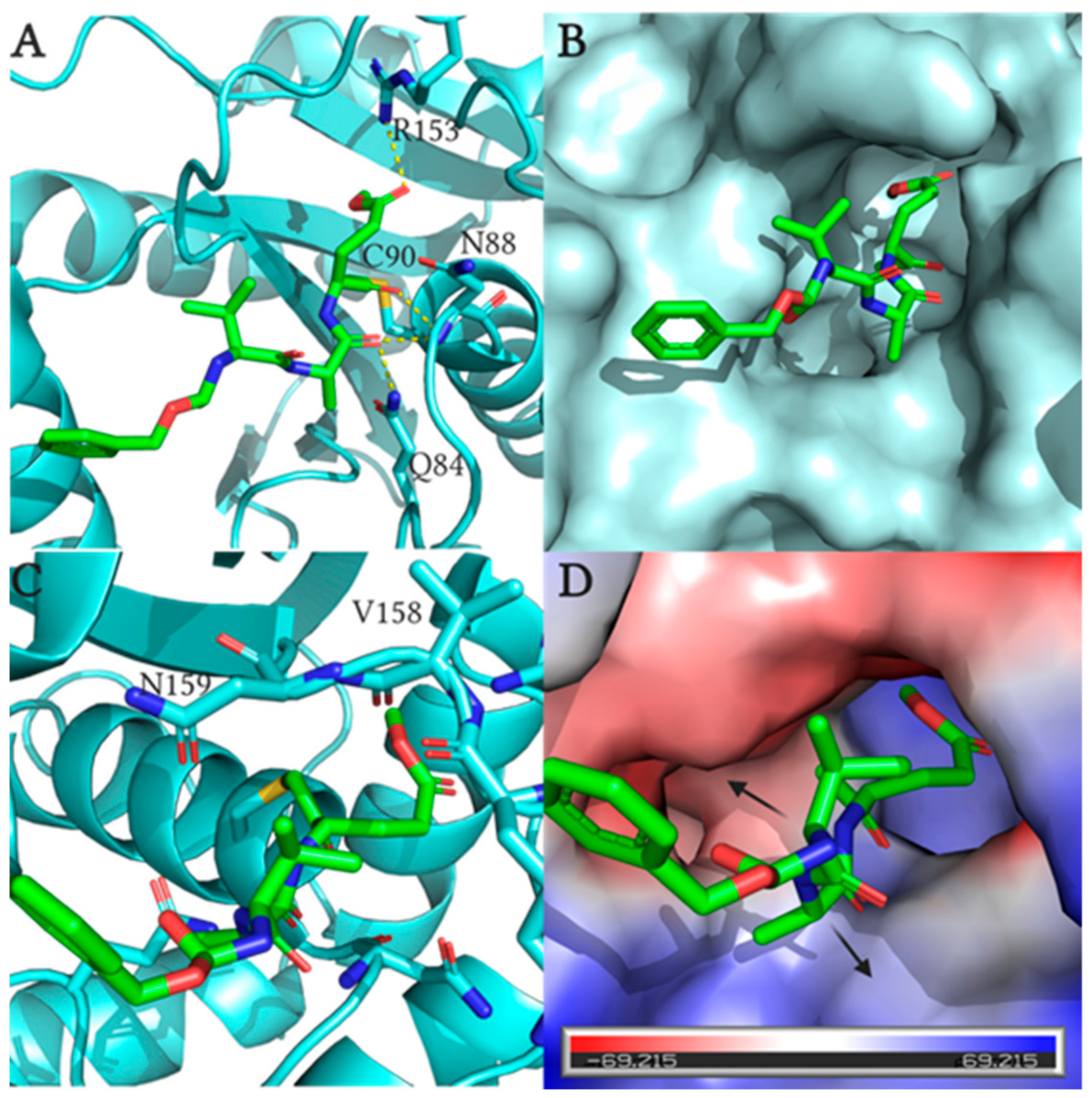 Molecules 26 01227 g003