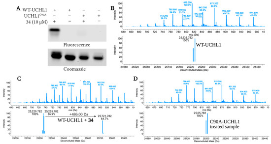 Optimization and Anti-Cancer Properties of