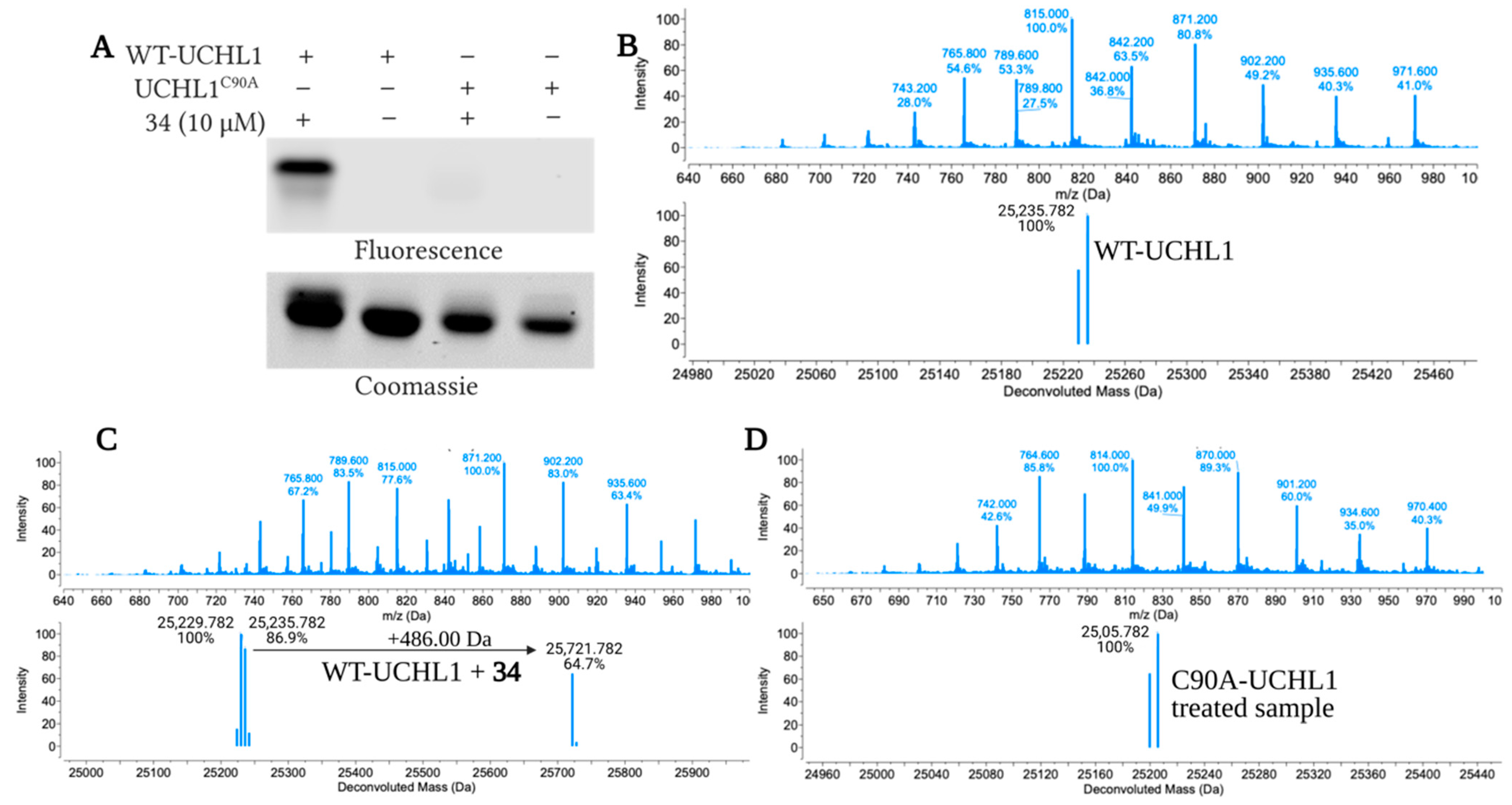 Molecules 26 01227 g004