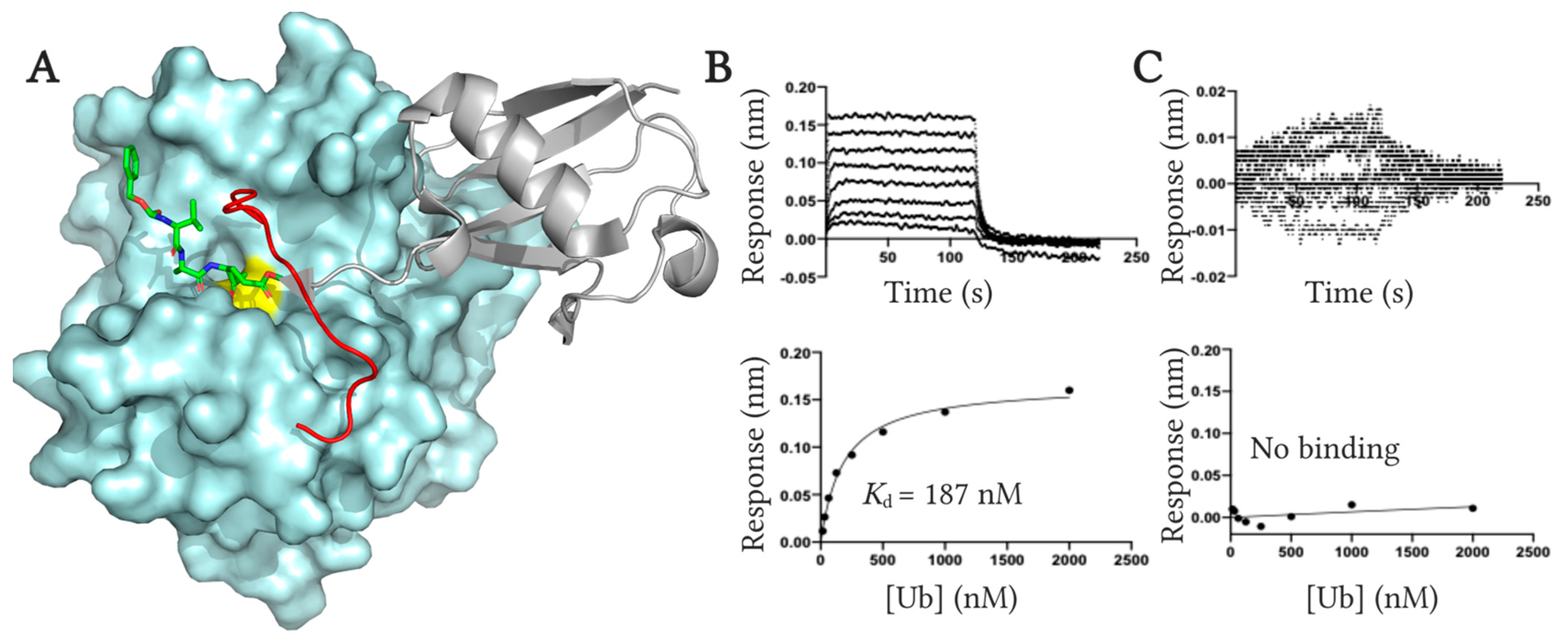 Molecules 26 01227 g006