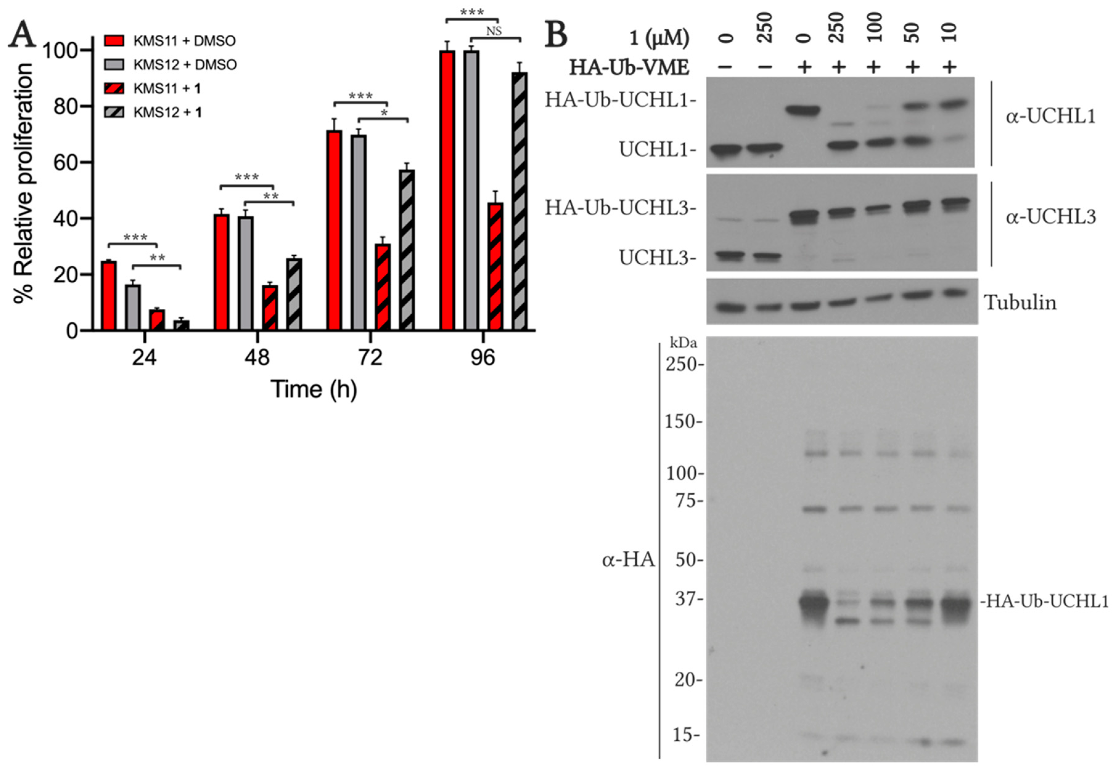 Molecules 26 01227 g007