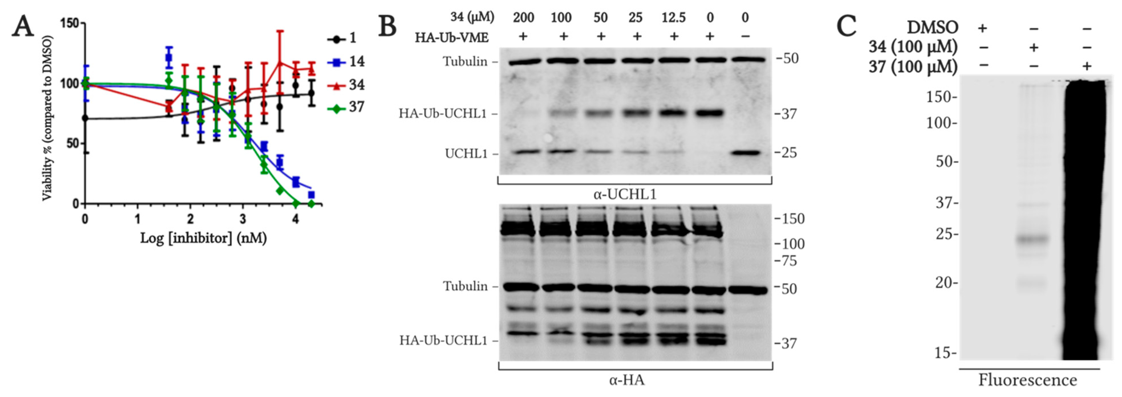 Molecules 26 01227 g008