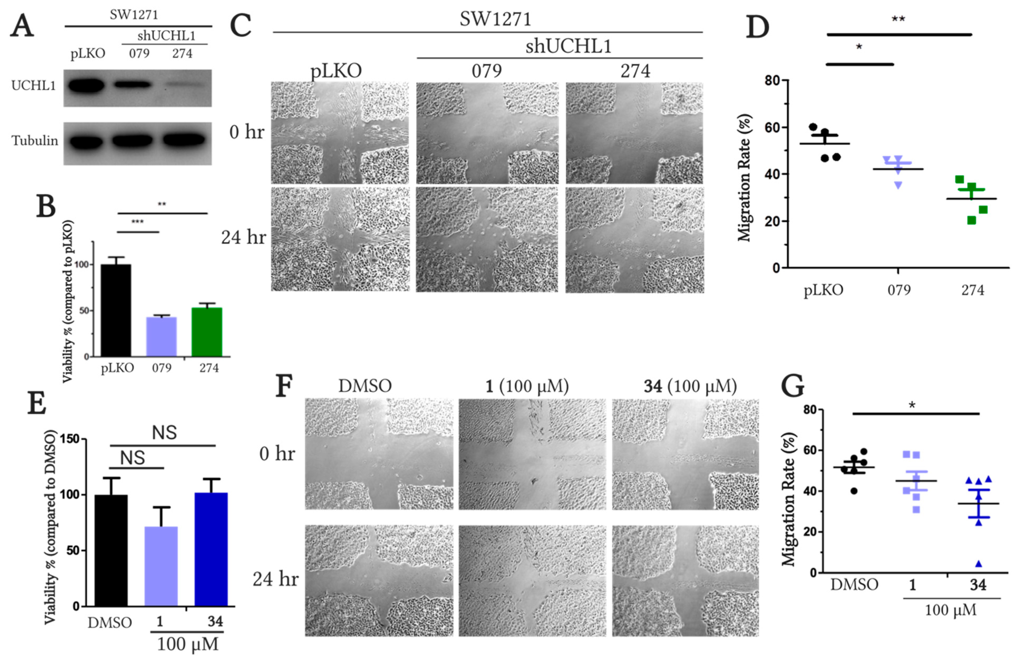 Molecules 26 01227 g009