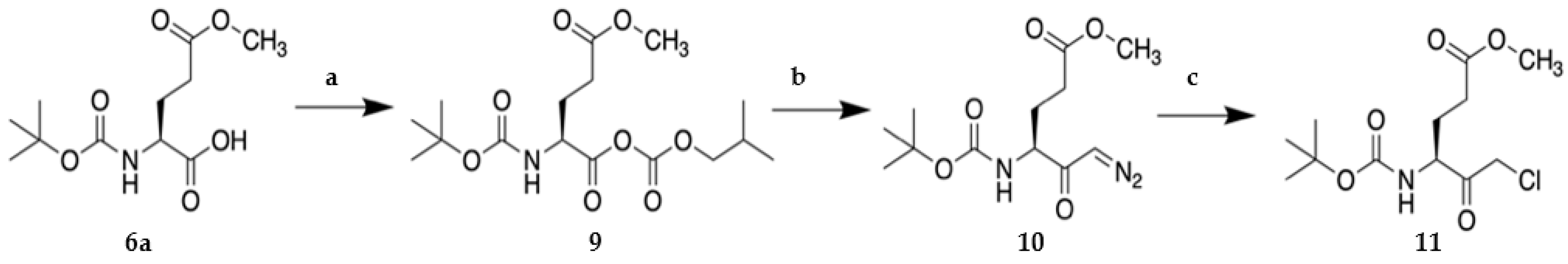 Molecules 26 01227 sch002