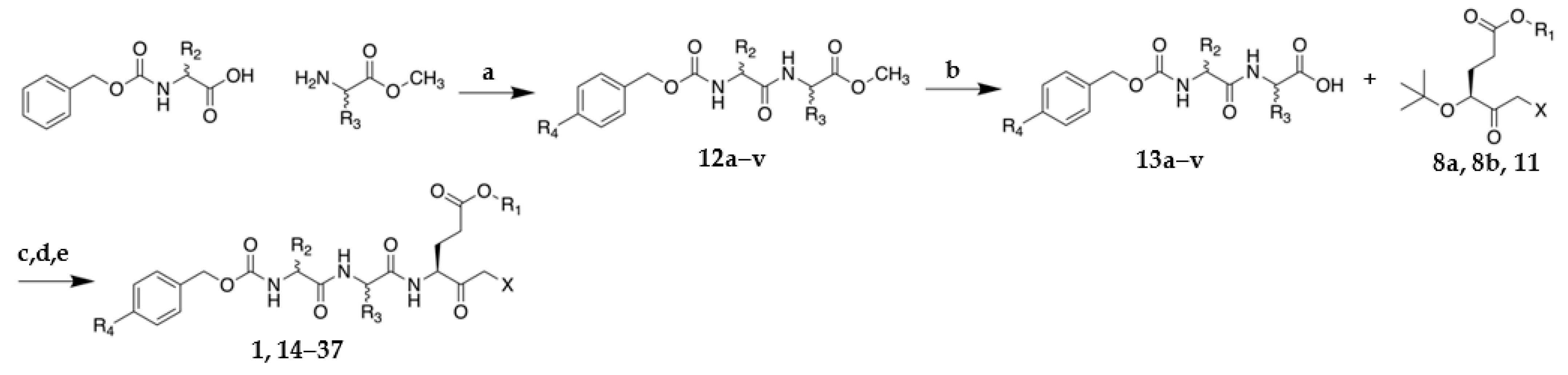 Molecules 26 01227 sch003