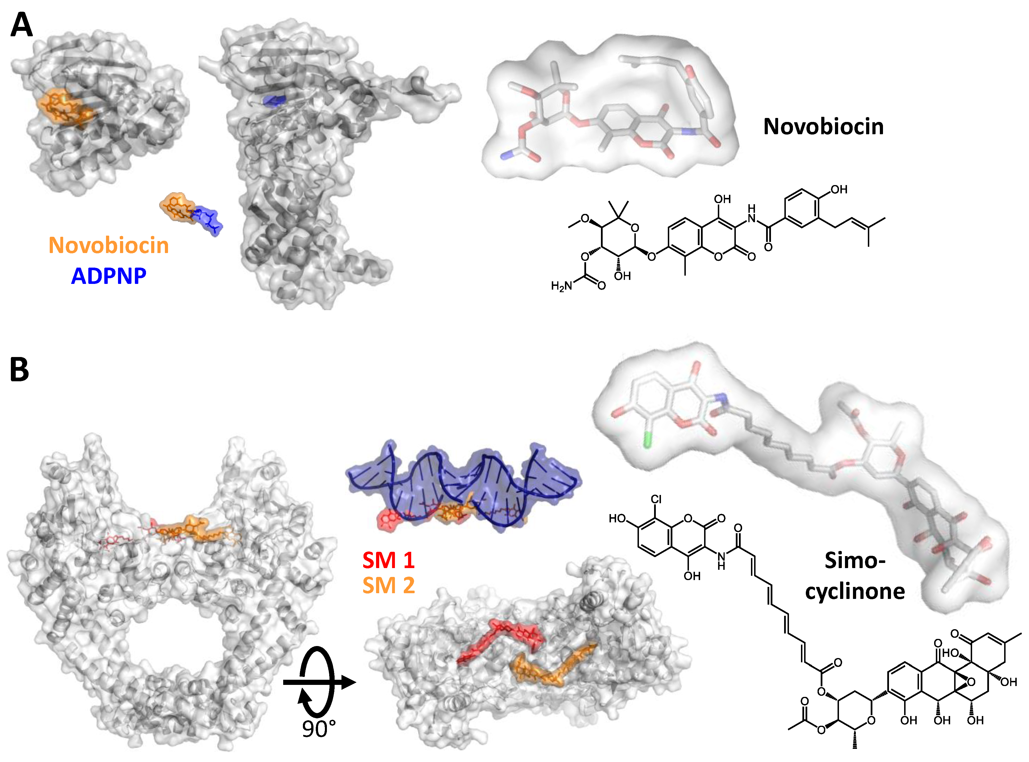 Molecules 26 01234 g002 Molecules 26 01234 g002