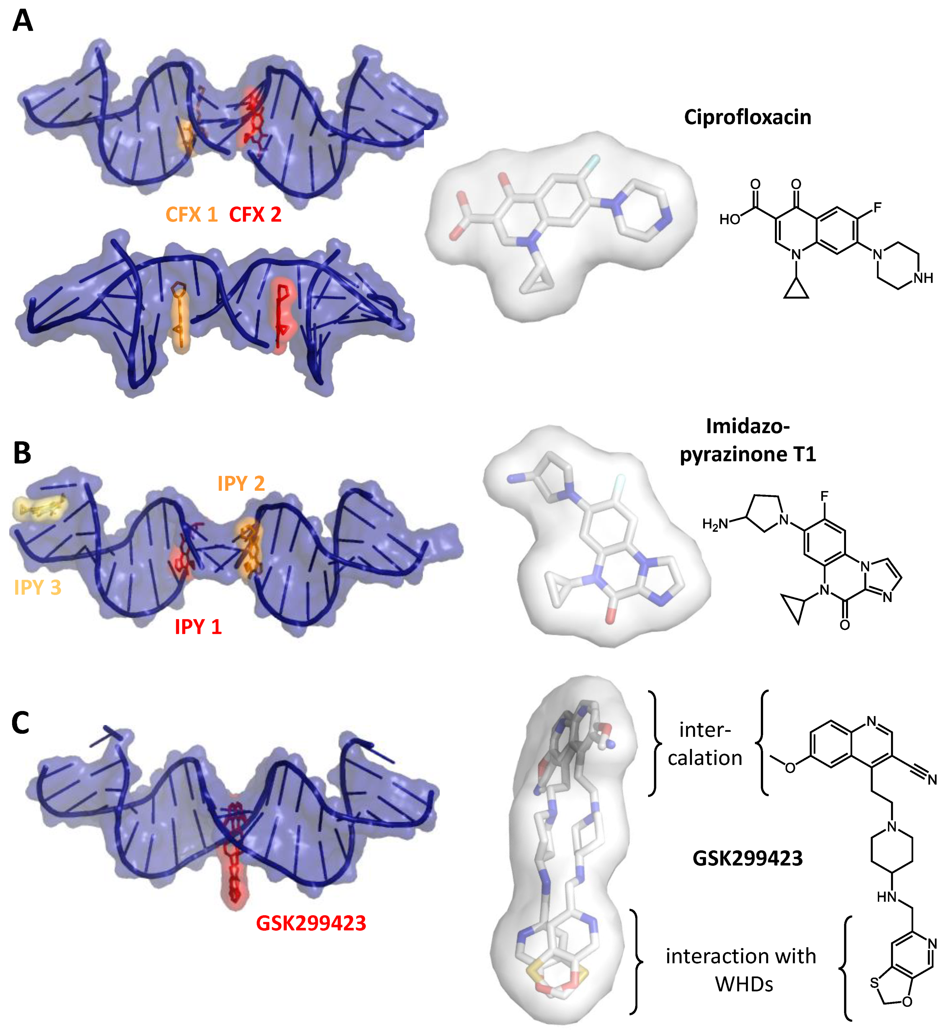 Molecules 26 01234 g003 Molecules 26 01234 g003