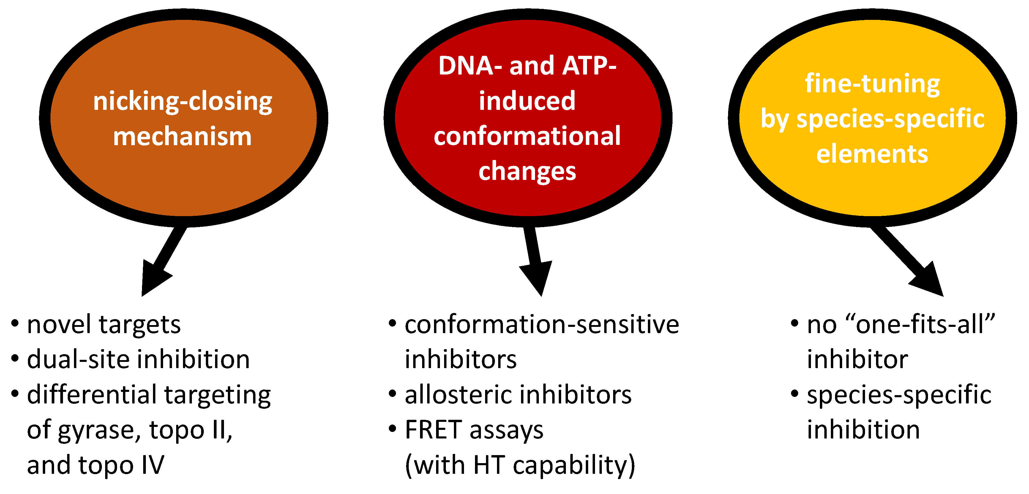 Molecules 26 01234 g008 Molecules 26 01234 g008