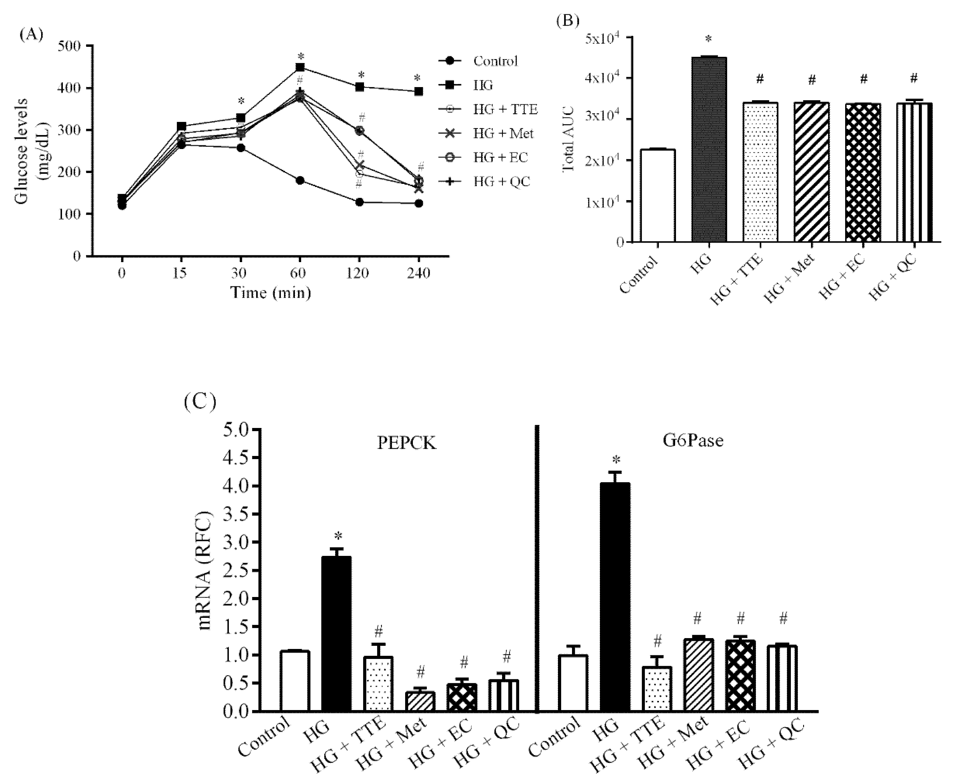 Molecules 26 01239 g003 Molecules 26 01239 g003