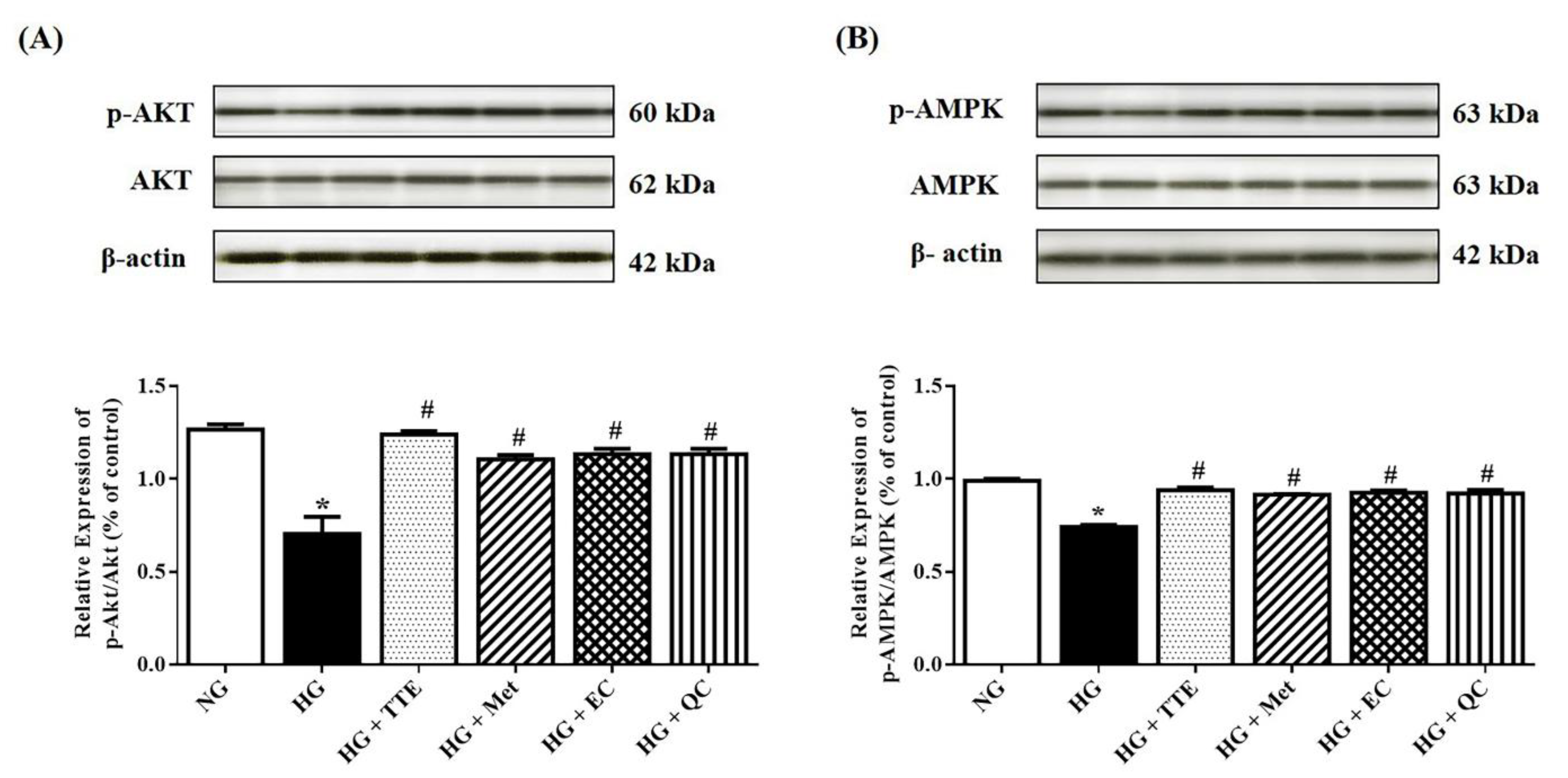 Molecules 26 01239 g004 Molecules 26 01239 g004