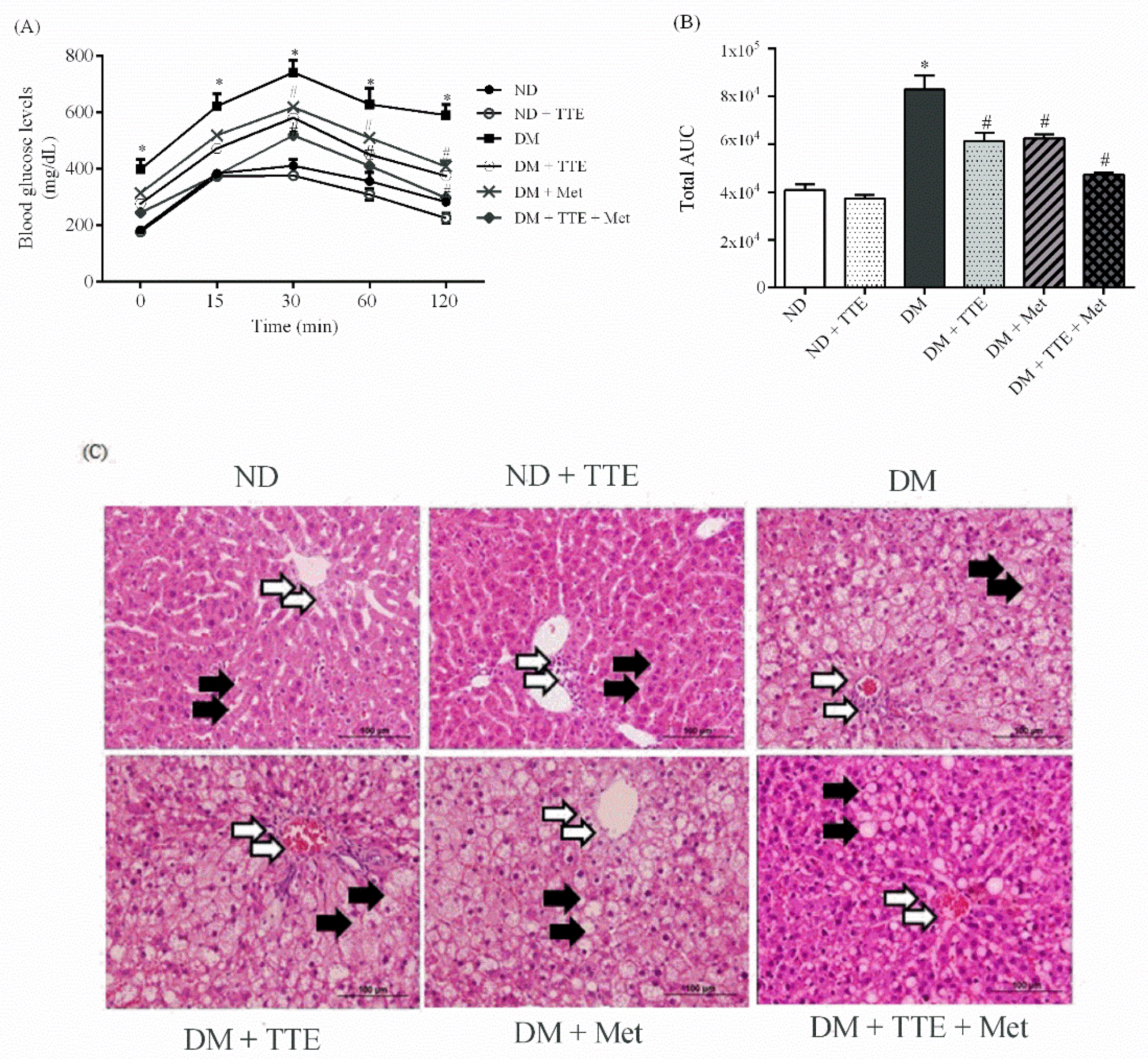 Molecules 26 01239 g005 Molecules 26 01239 g005