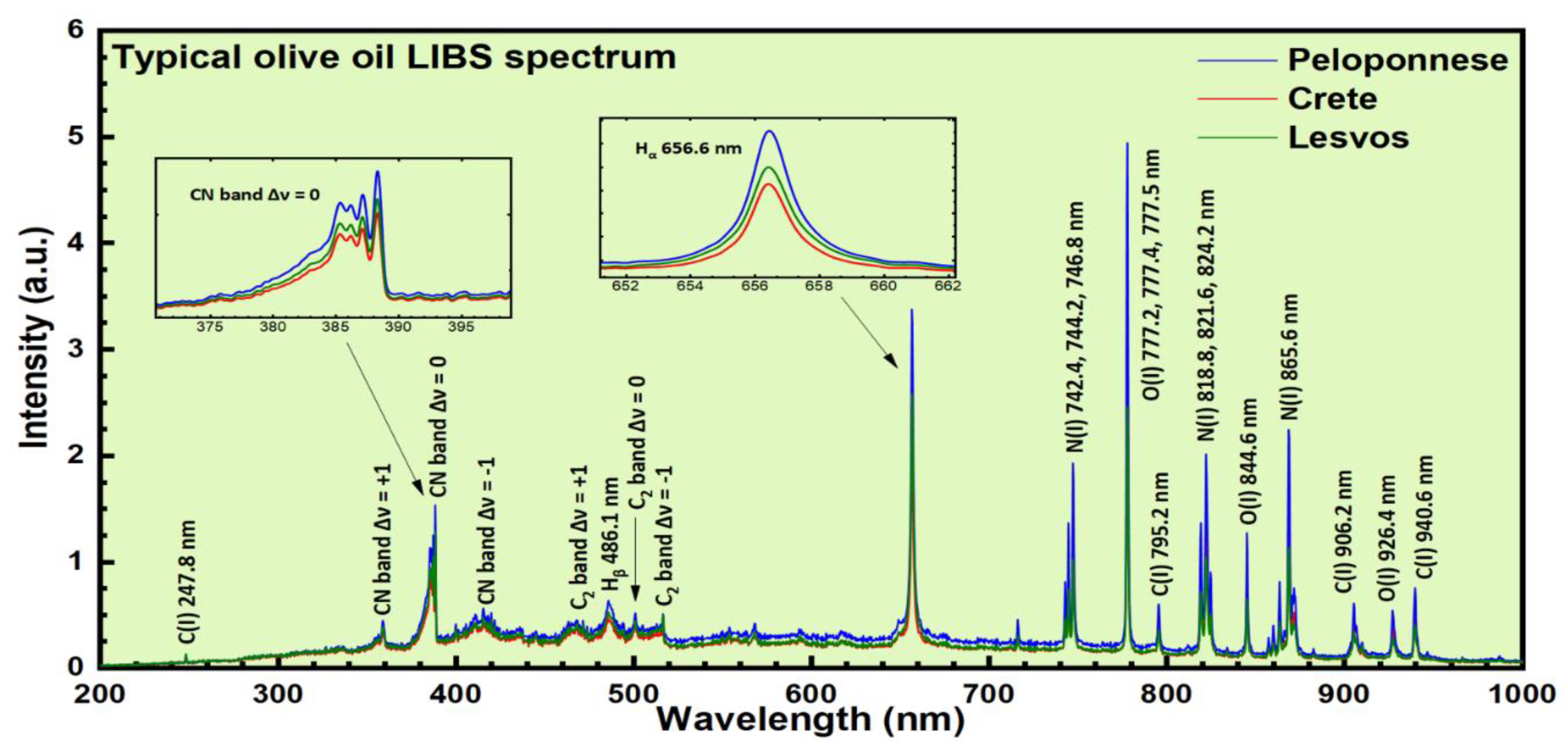 Molecules 26 01241 g001