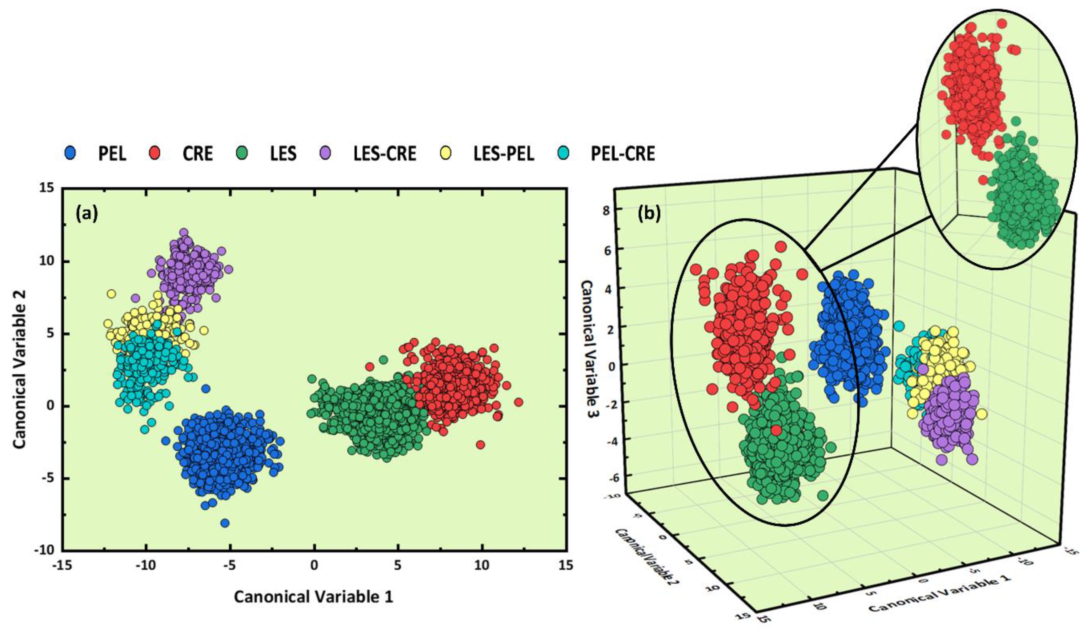 Molecules 26 01241 g003