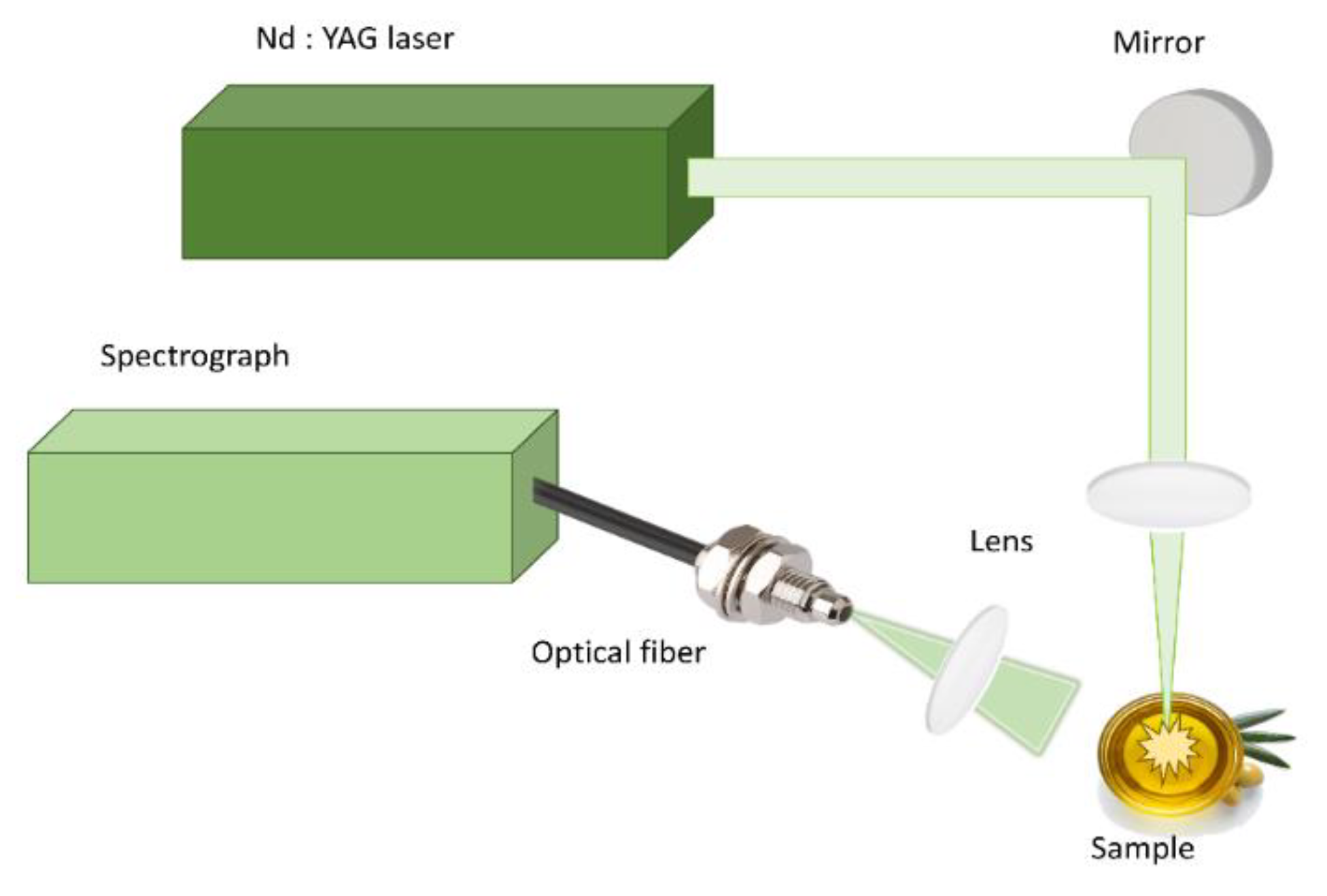 Molecules 26 01241 g009