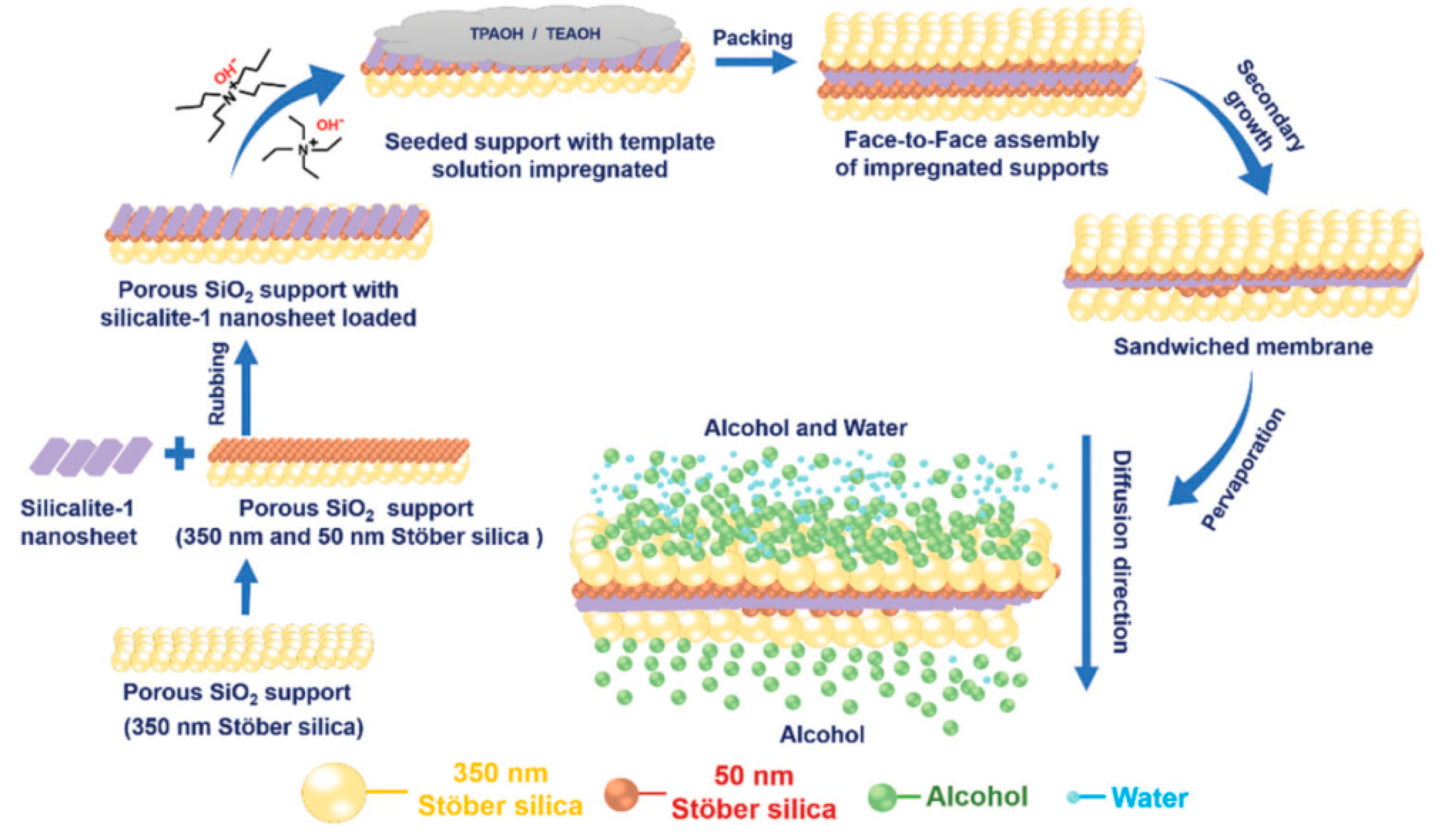 Molecules 26 01242 g004 Molecules 26 01242 g004