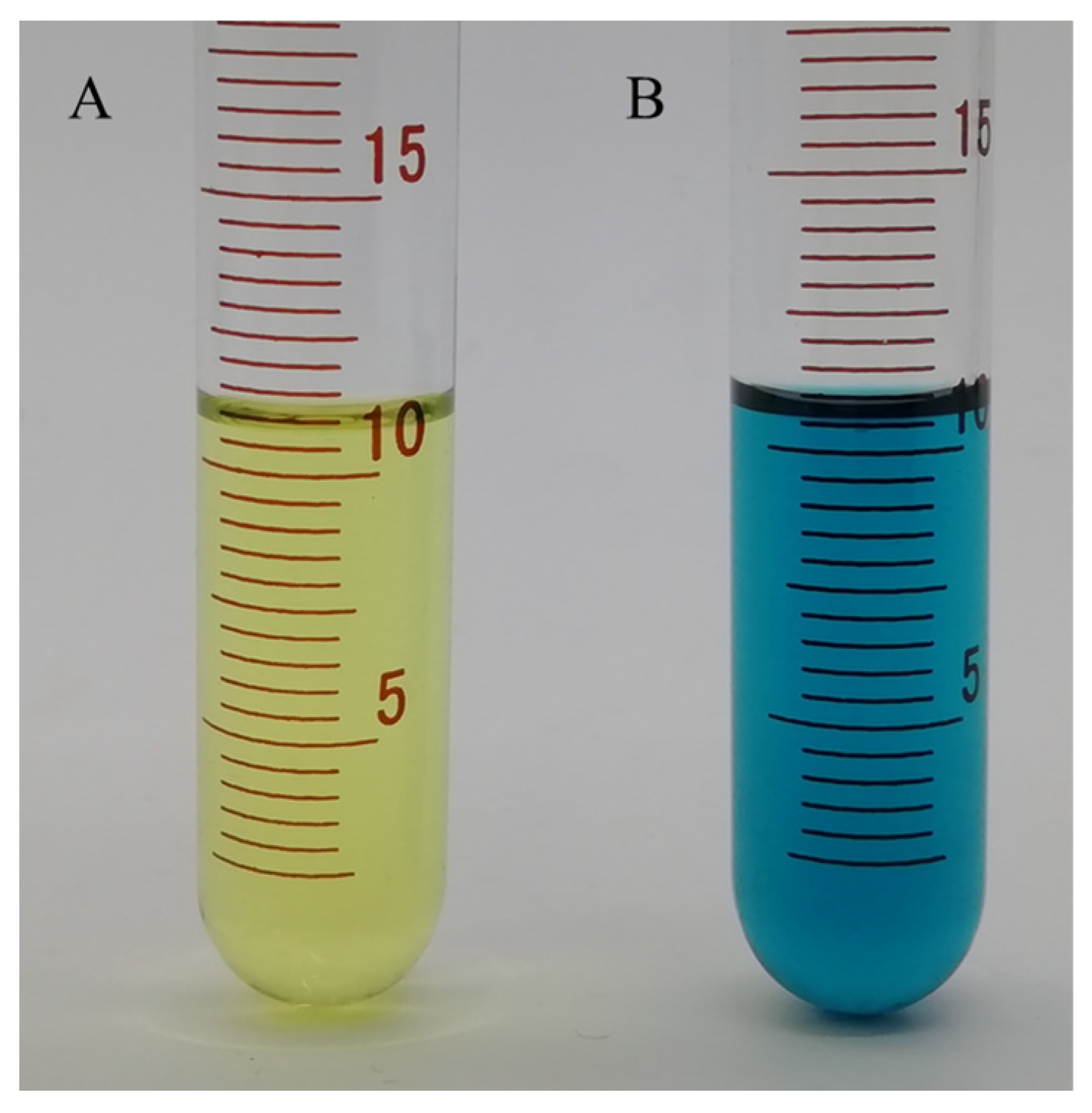 Molecules 26 01246 g010 Molecules 26 01246 g010