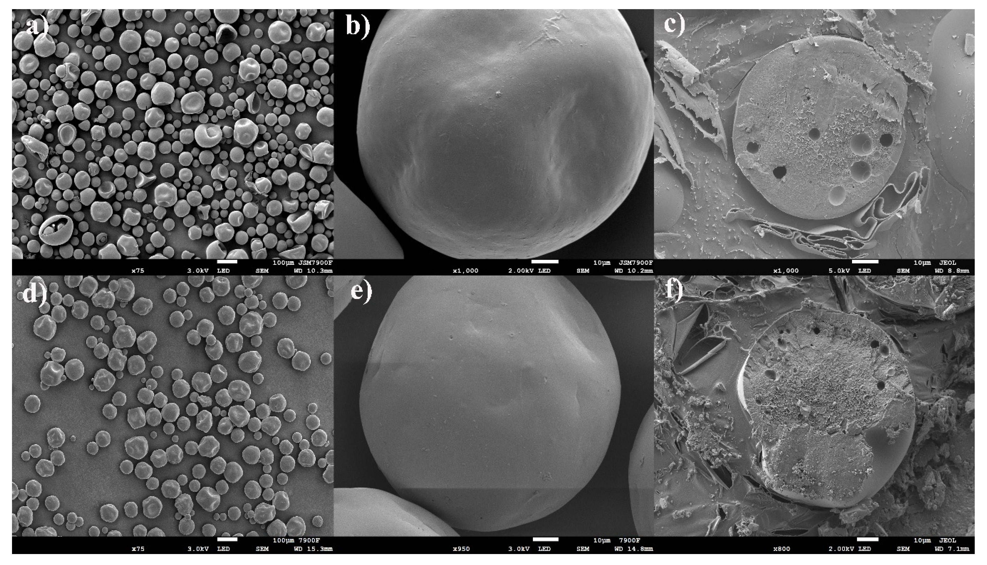 Molecules 26 01247 g006 Molecules 26 01247 g006