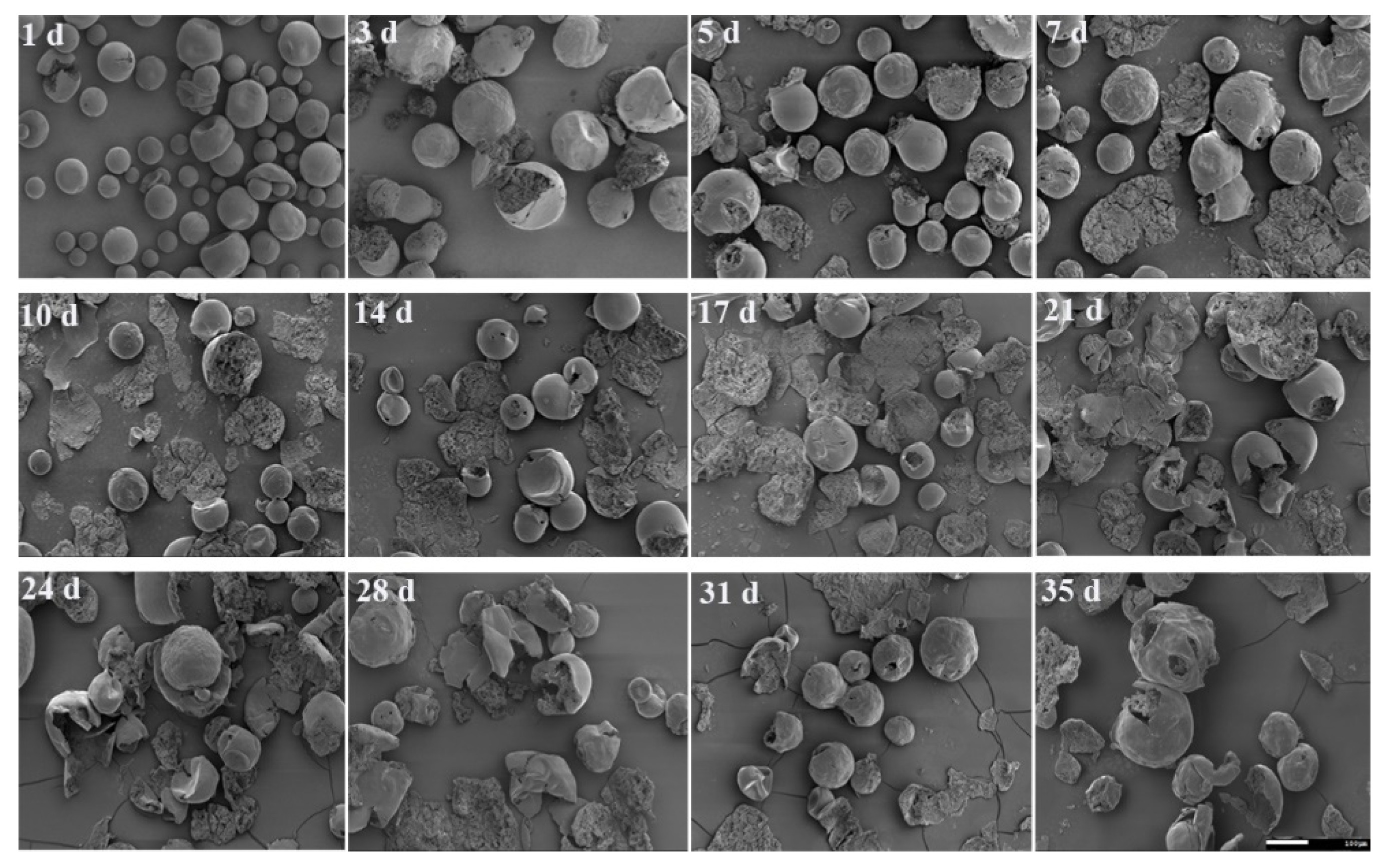 Molecules 26 01247 g010 Molecules 26 01247 g010